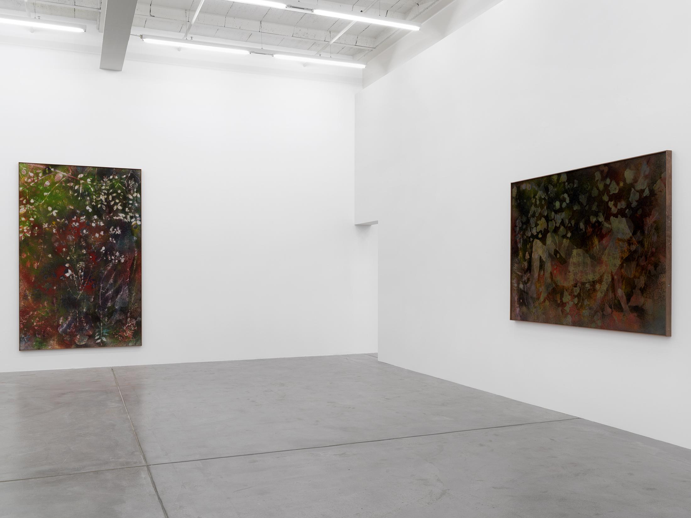 Exhibition View Sam Falls Soloshow at Galerie Eva Presenhuber, Zurich, 2019 / Photo: Stefan Altenburger / © Sam Falls / Courtesy the artist and Galerie Eva Presenhuber, Zurich / New York