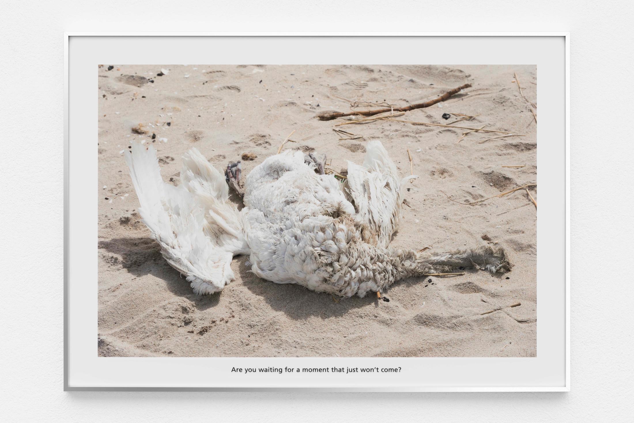 Exhibition View Sam Pulitzer Soloshow «The Premise of a Better Life; view on Point Breeze, 2019» at Kunsthaus Glarus, Glarus, 2019 / Photo: Gunnar Meier / Courtesy: the artist and Kunsthaus Glarus