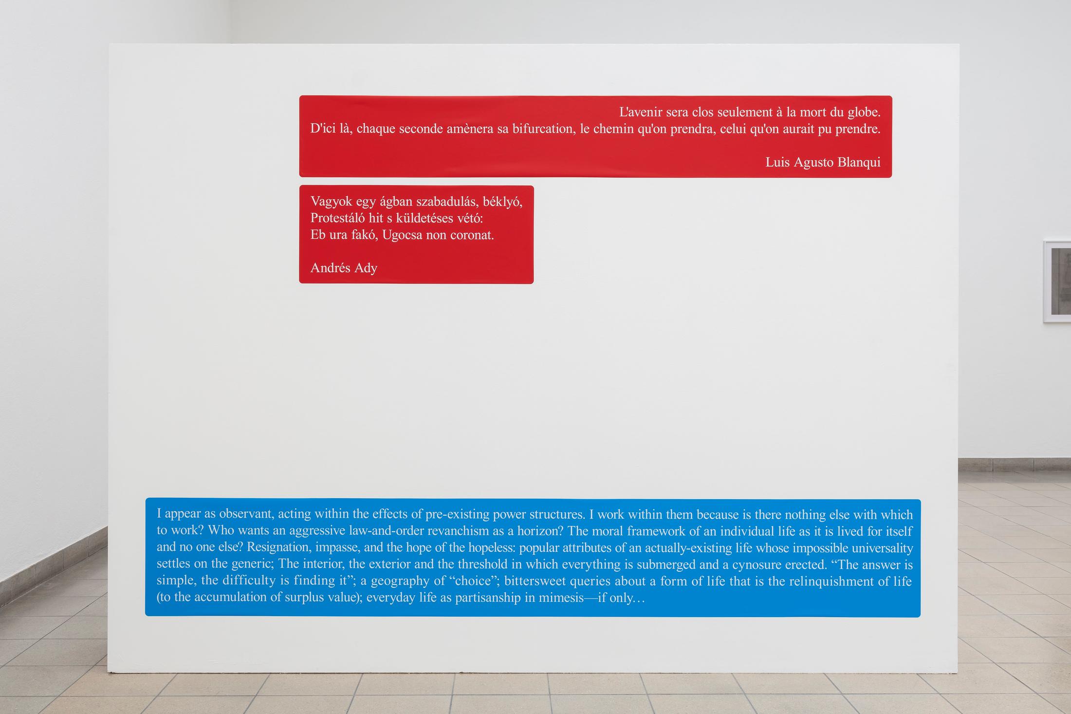 Exhibition View Sam Pulitzer Soloshow «The Premise of a Better Life; view on Años Perros, 2019» at Kunsthaus Glarus, Glarus, 2019 / Photo: Gunnar Meier / Courtesy: the artist and Kunsthaus Glarus