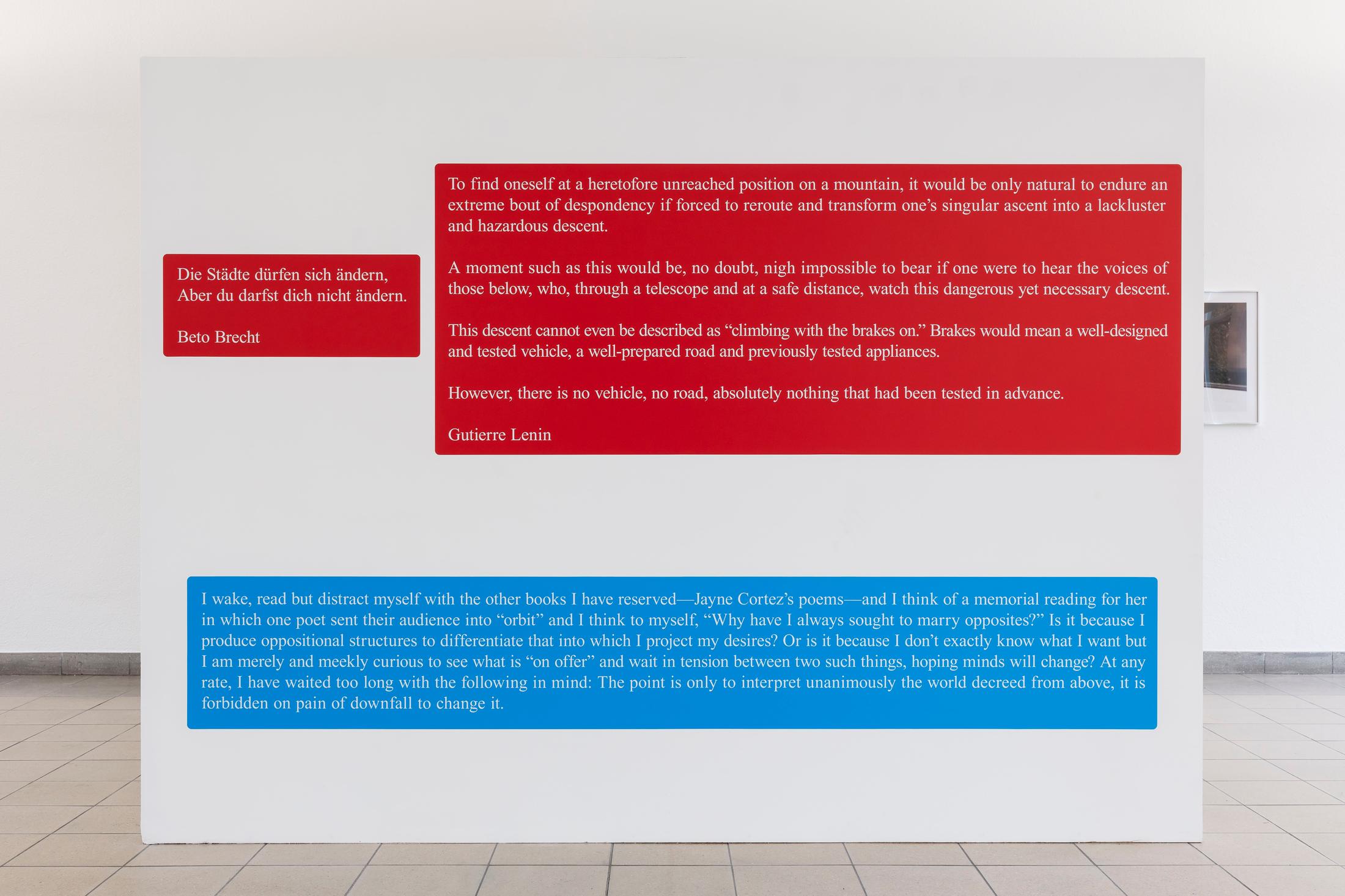 Exhibition View Sam Pulitzer Soloshow «The Premise of a Better Life; view on Años Perros, 2019» at Kunsthaus Glarus, Glarus, 2019 / Photo: Gunnar Meier / Courtesy: the artist and Kunsthaus Glarus