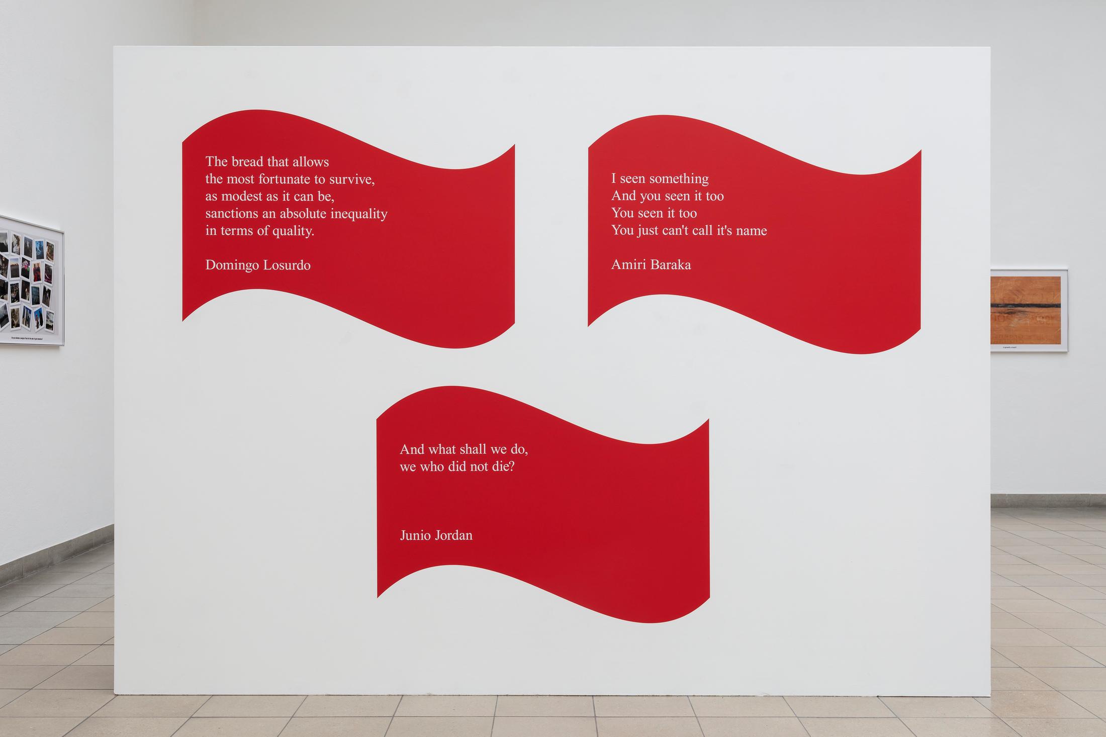 Exhibition View Sam Pulitzer Soloshow «The Premise of a Better Life; view on Años Perros, 2019» at Kunsthaus Glarus, Glarus, 2019 / Photo: Gunnar Meier / Courtesy: the artist and Kunsthaus Glarus