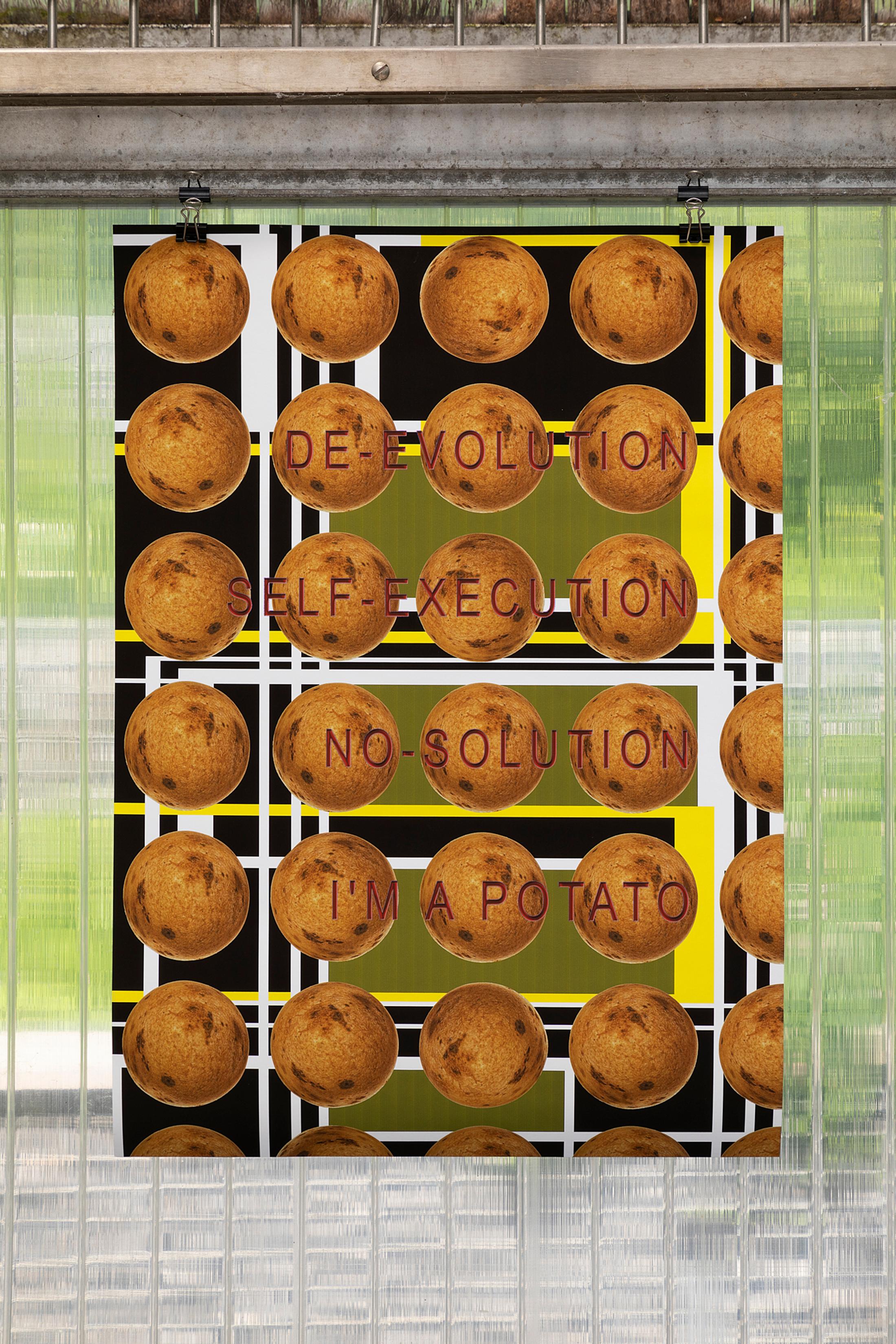 Exhibition View Group Show «Same things make us laugh, make us cry; view on Catherina De Nicola, De-evolution self-execution no-solution I’m a potato, 2021» at Body Archive Project, Zurich, 2021 / Coutesy: the artists and Body Archive Project