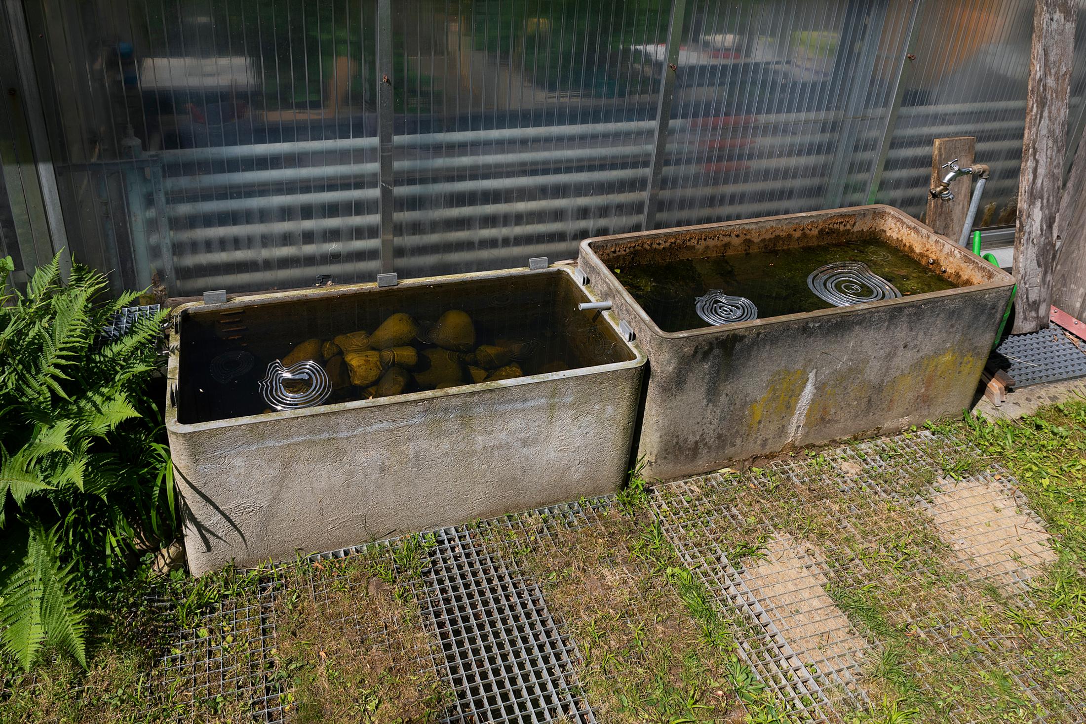 Exhibition View Group Show «Same things make us laugh, make us cry; view on Ceylan Öztrük, ripple effect; nazar module, 2021» at Body Archive Project, Zurich, 2021 / Coutesy: the artists and Body Archive Project