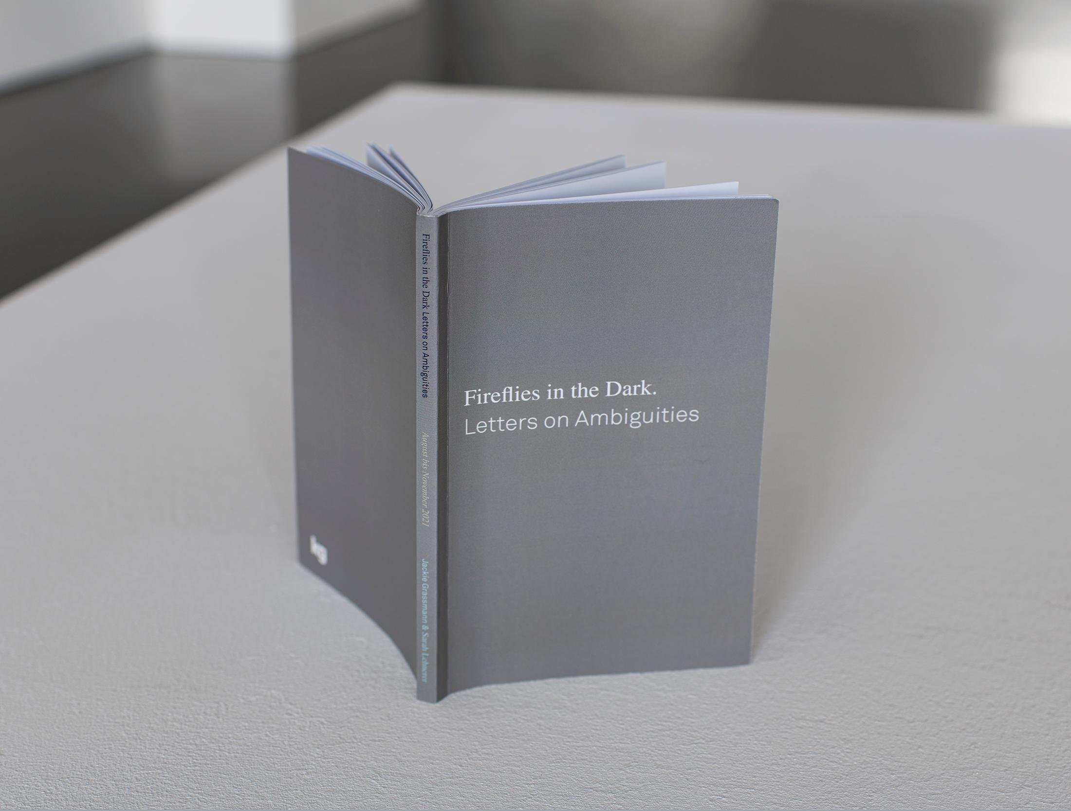 Exhibition View Sarah Lehnerer Solo Show «casting on; view on Sarah Lehnerer und Jackie Grassmann, Fireflies in the Dark. Letters on Ambiguities, 2021» at Kirchgasse Gallery, Steckborn, 2022 / Photo: Cedric Mussano / Courtesy: the artist and Kirchgasse Gallery