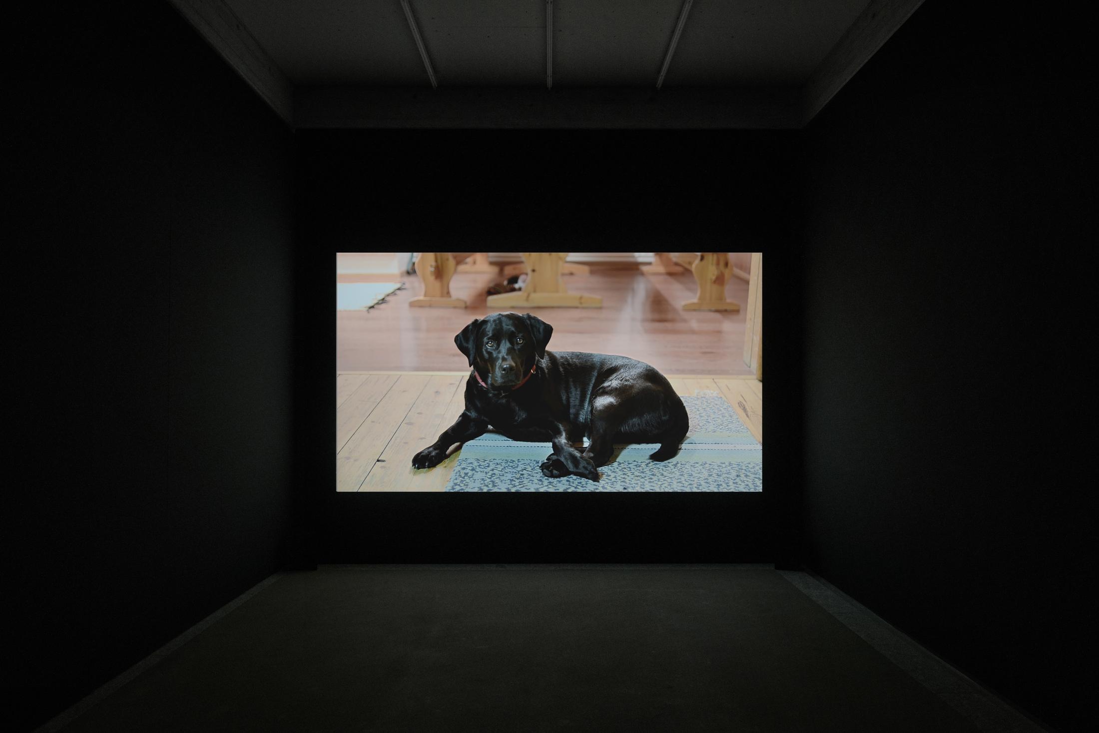 Exhibition View Sebastian Stadler Soloshow «Pictures, I think» at Kunstmuseum St. Gallen, 2019 / © Sebastian Stadler / Courtesy: the artist and Kunstmuseum St. Gallen