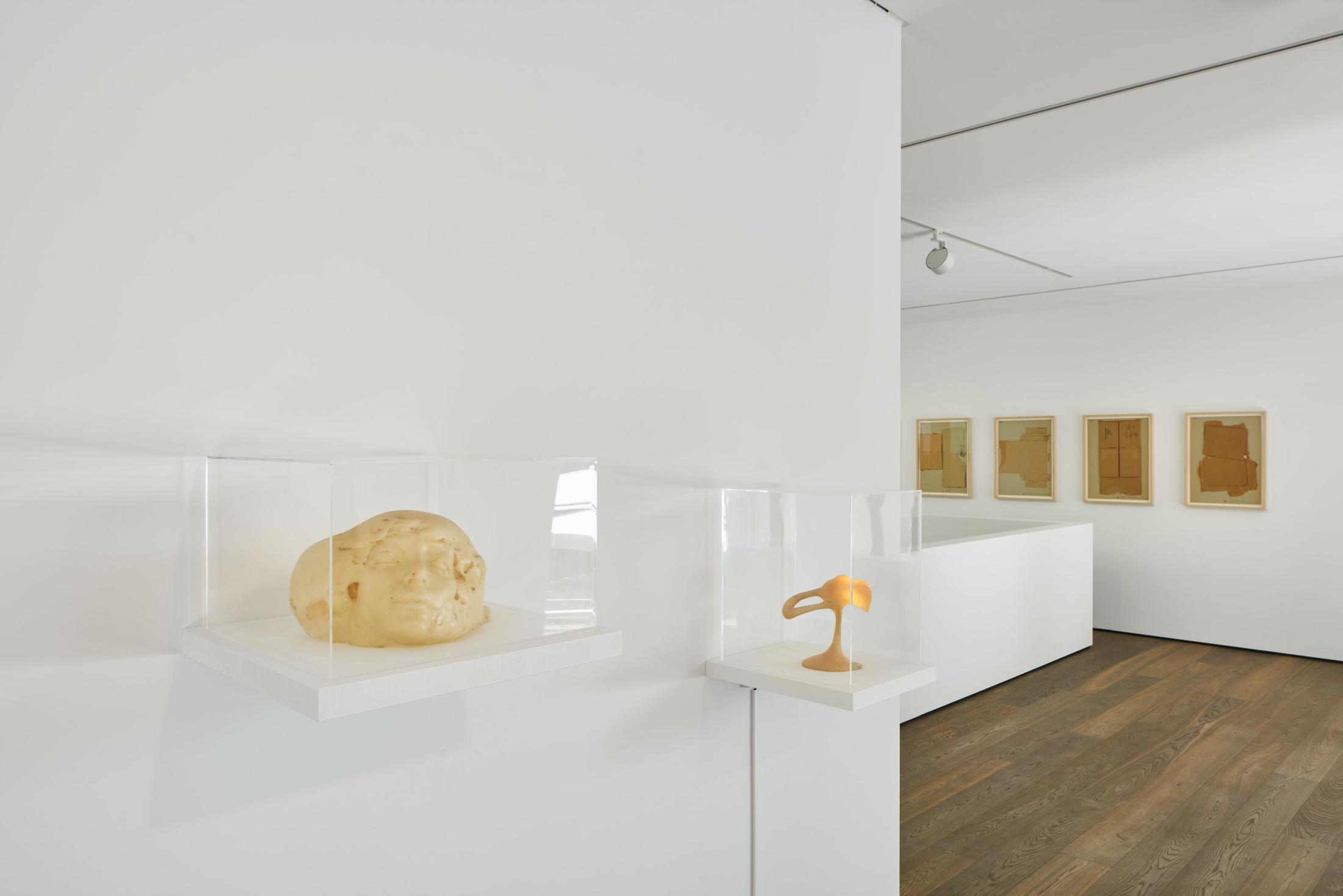 Exhibition View Groupshow «Seeing Touch» at Hauser & Wirth, St. Moritz, 2020 / Photo: Jon Etter / Courtesy: the artists and Hauser & Wirth