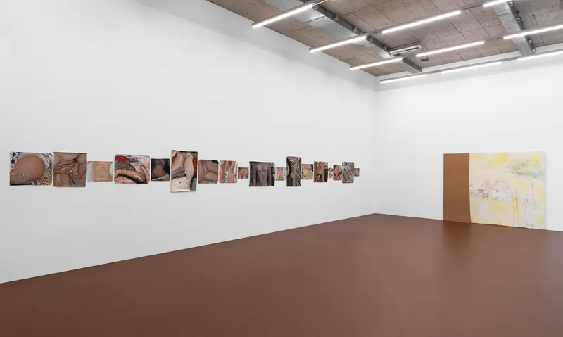 Exhibition View Ser Serpas Soloshow «Models» at Karma International, Zurich, 2020 / Photo: James Bantone / Courtesy: the artist and Karma International, Zurich / Los Angeles