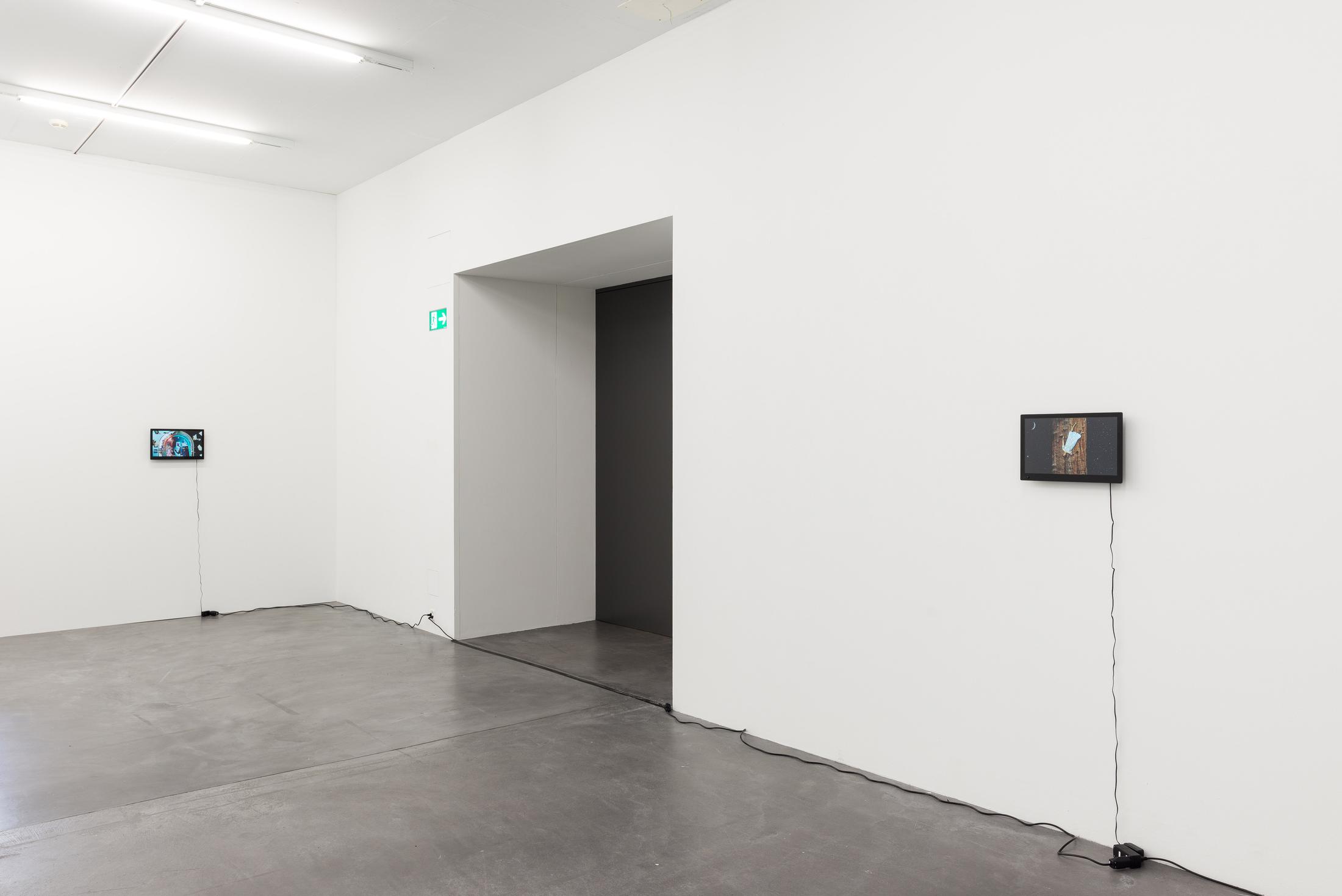 Installation View Shana Moulton «Whispering Pines ∞» at Galerie Gregor Staiger, Zurich, 2018 © / Courtesy the artist & Galerie Gregor Staiger