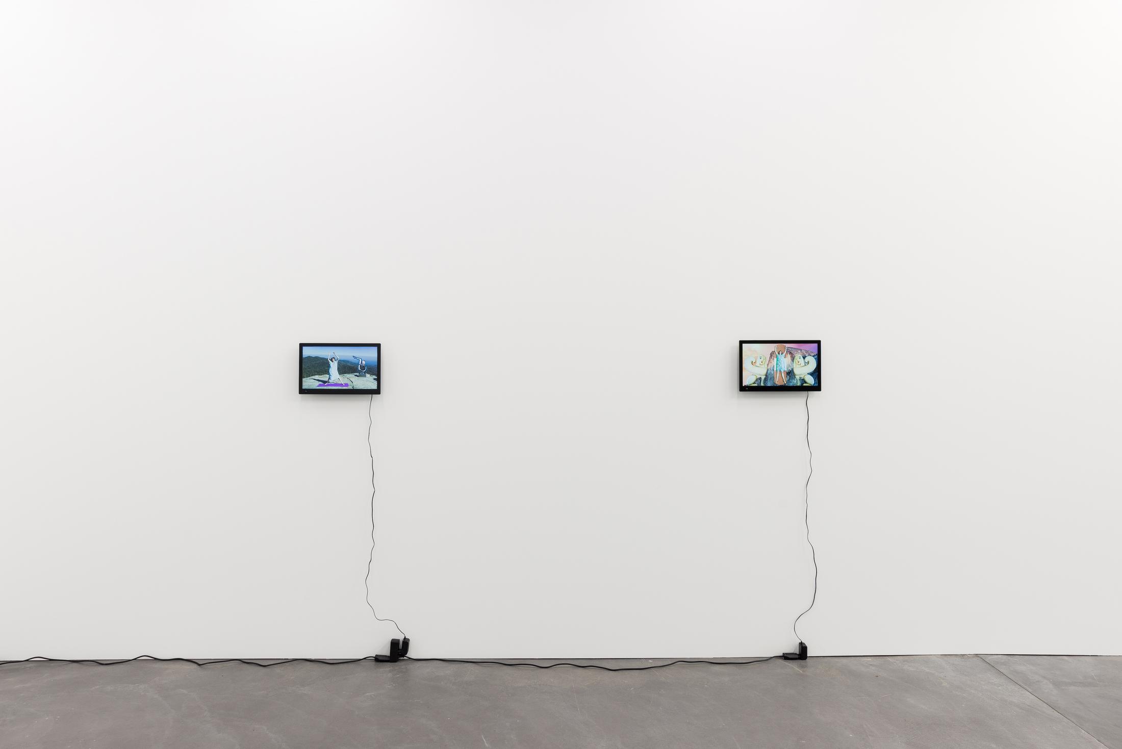 Installation View Shana Moulton «Whispering Pines ∞» at Galerie Gregor Staiger, Zurich, 2018 © / Courtesy the artist & Galerie Gregor Staiger