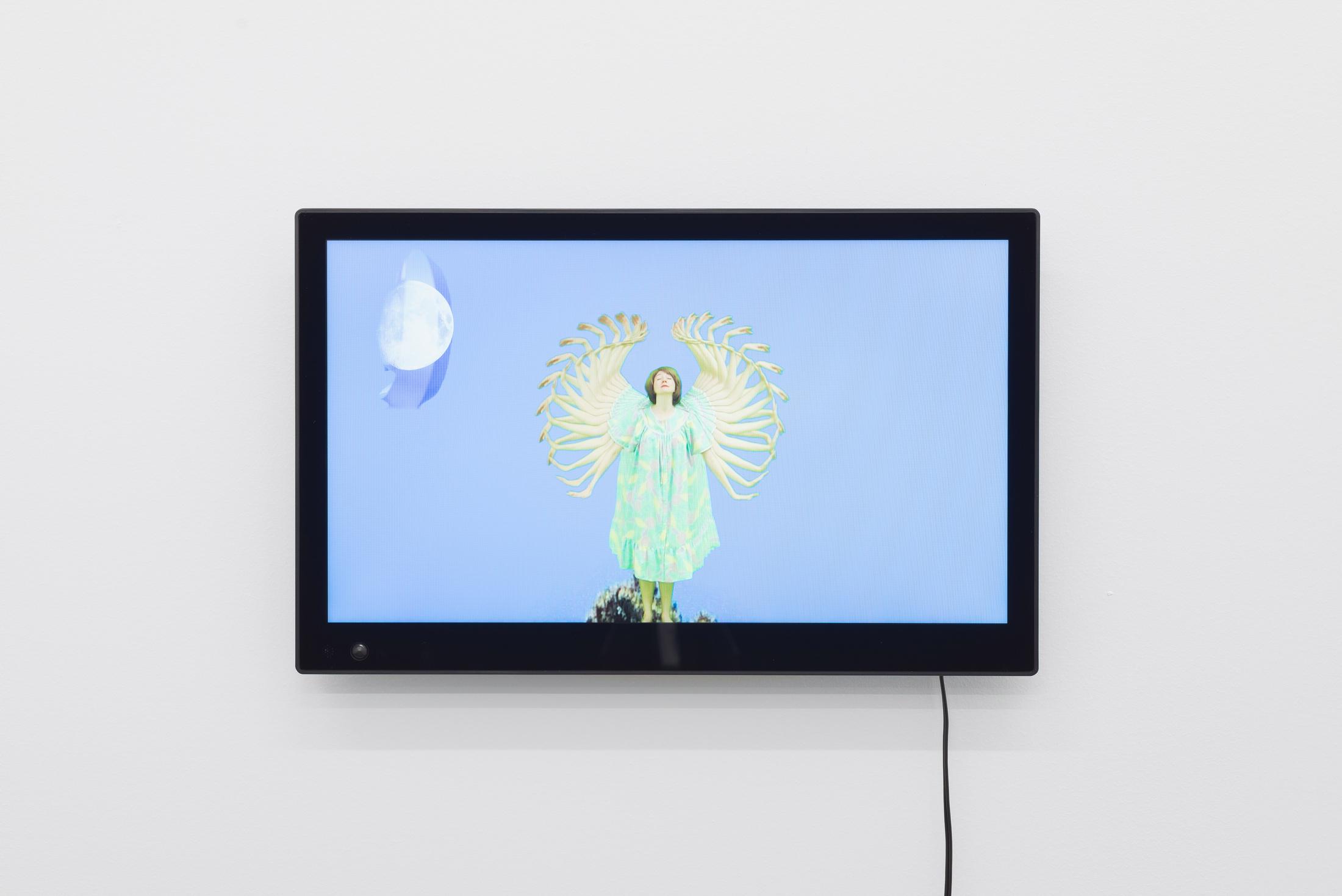 Installation View Shana Moulton «Whispering Pines ∞» at Galerie Gregor Staiger, Zurich, 2018 © / Courtesy the artist & Galerie Gregor Staiger