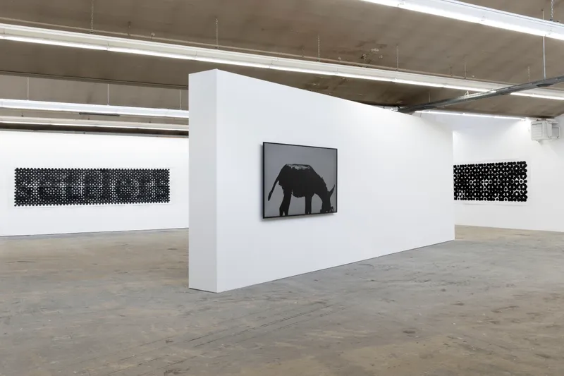 Exhibition View Sharif Waked Solo Show «Halftones; view on Sharif Waked, Arabesque No. 8 (Settlers), 2020; Just A Moment No. 21 (Shit), 2018; Arabesque No. 11 (Breathe)» at Kunsthaus Baselland, Muttenz, Basel, 2020 / Photo: Gina Folly / Courtesy: the artist