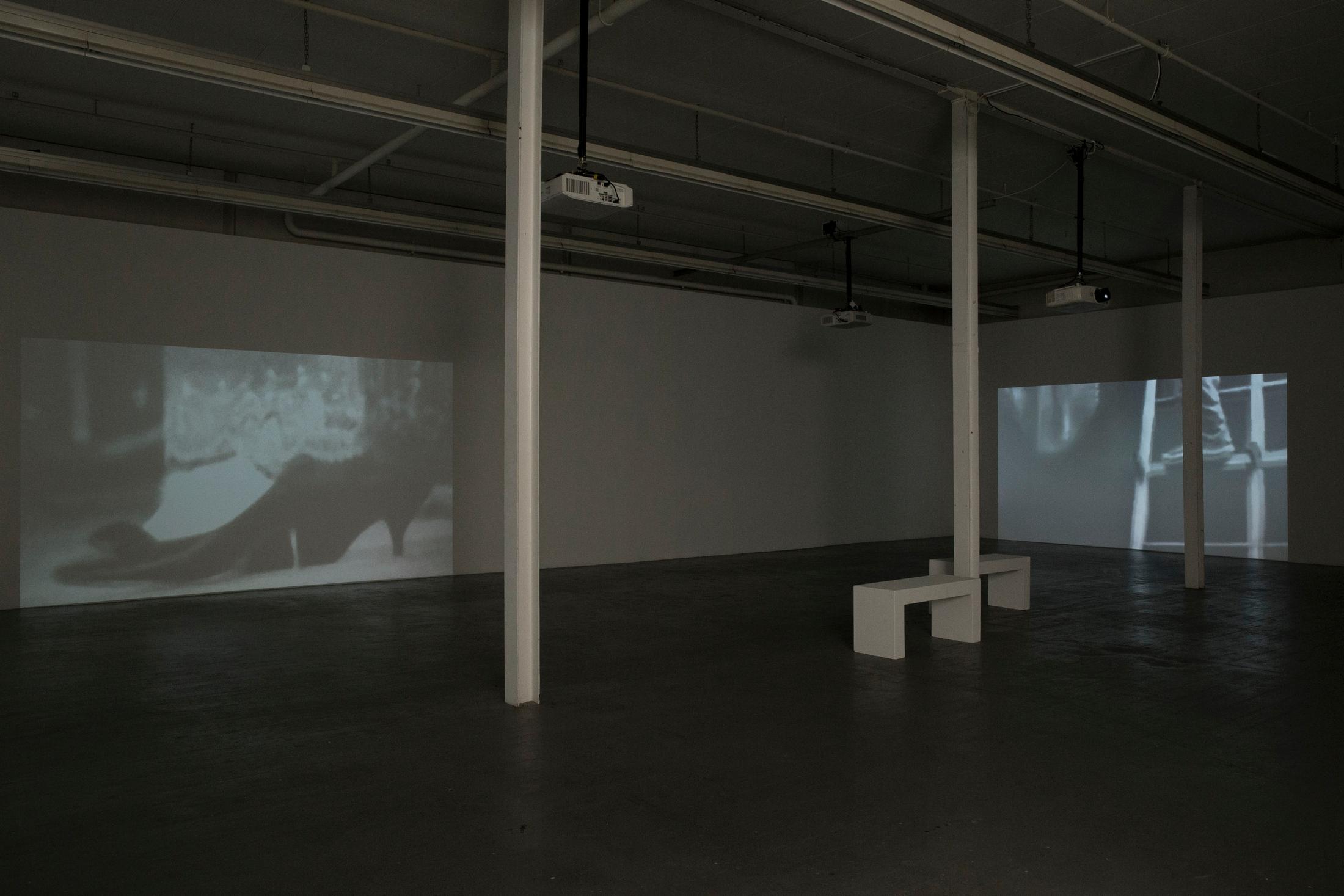 Exhibition View Sharif Waked Solo Show «Halftones; view on Sharif Waked, Just A Moment No. 4 (Away From You), 2011; Just A Moment No. 17 (Smiley), 2016» at Kunsthaus Baselland, Muttenz, Basel, 2020 / Photo: Gina Folly / Courtesy: the artist