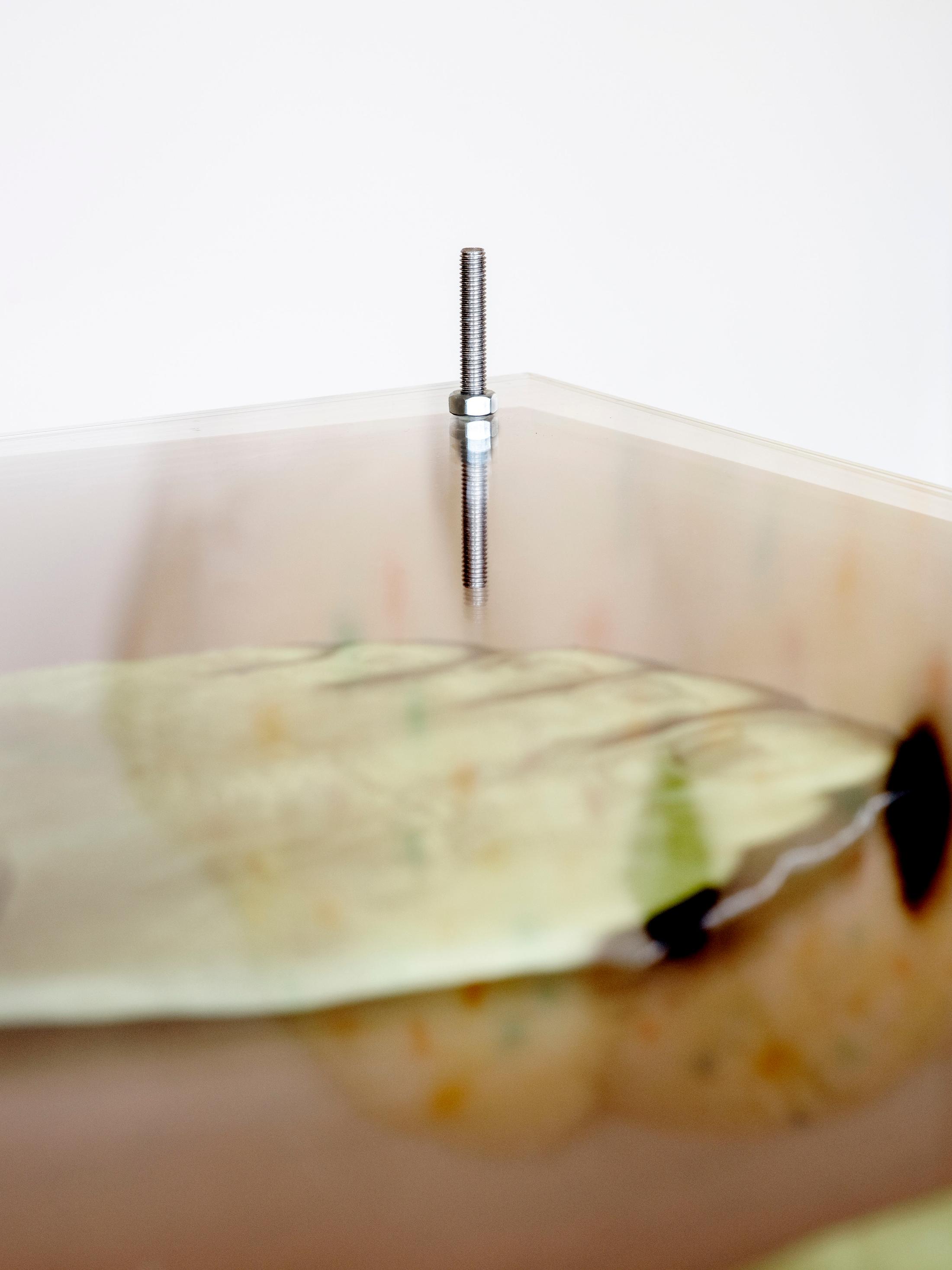 Exhibition View Shuang Li Solo Show «Among Us; view on Shuang Li, The Bully, 2021, costume, Plexiglas, metal screws, 179 x 89 cm, (detail)» at Cherish, Geneva, 2021 / Photo: James Bantone / Courtesy: the artist and Cherish