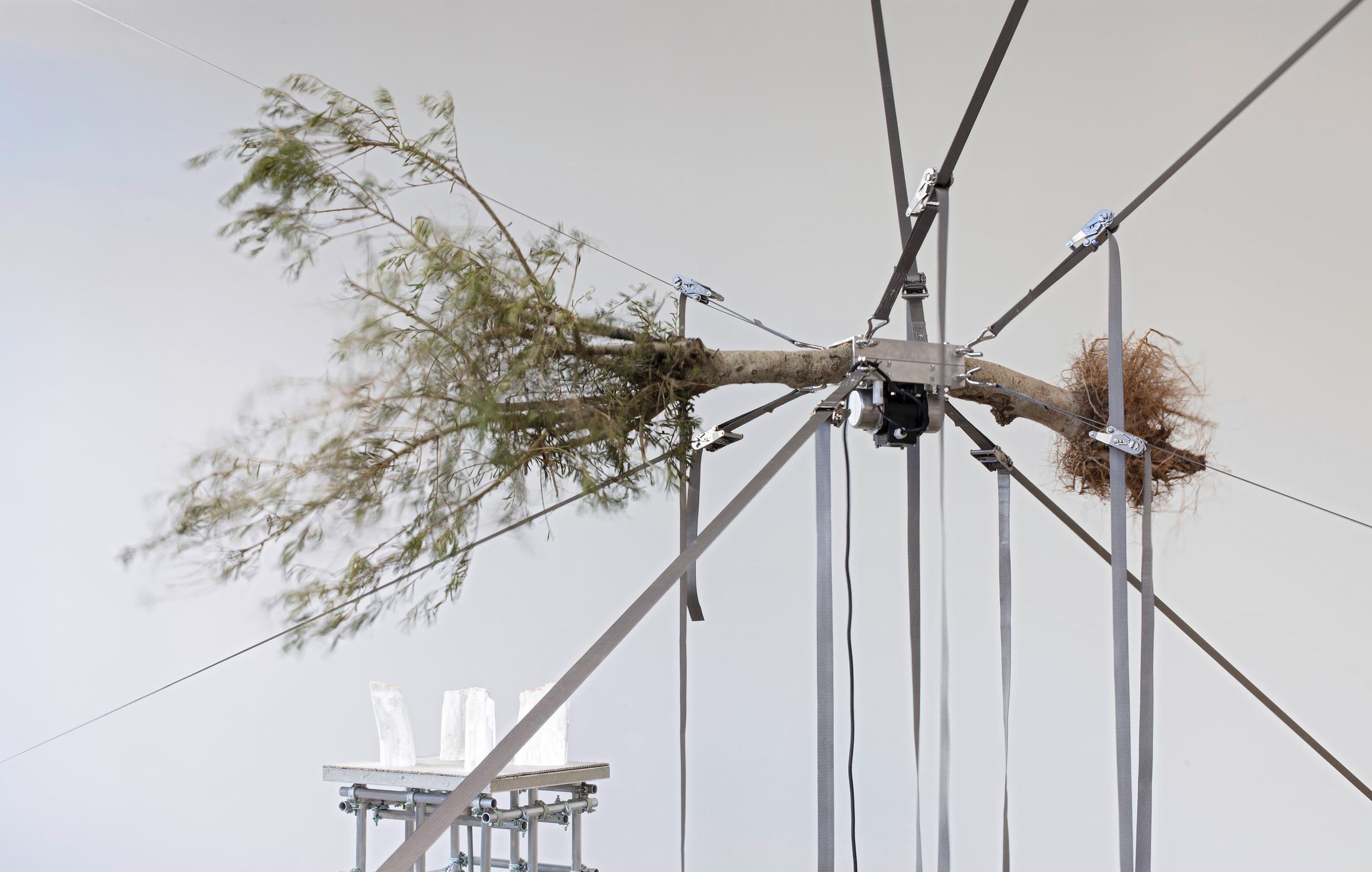 Exhibition View Siobhán Hapaska Soloshow at Lokremise, St. Gallen, 2020, presented by Kunstmuseum St. Gallen / Photo: Stefan Rohner / Courtesy: the artist and Kunstmuseum St. Gallen