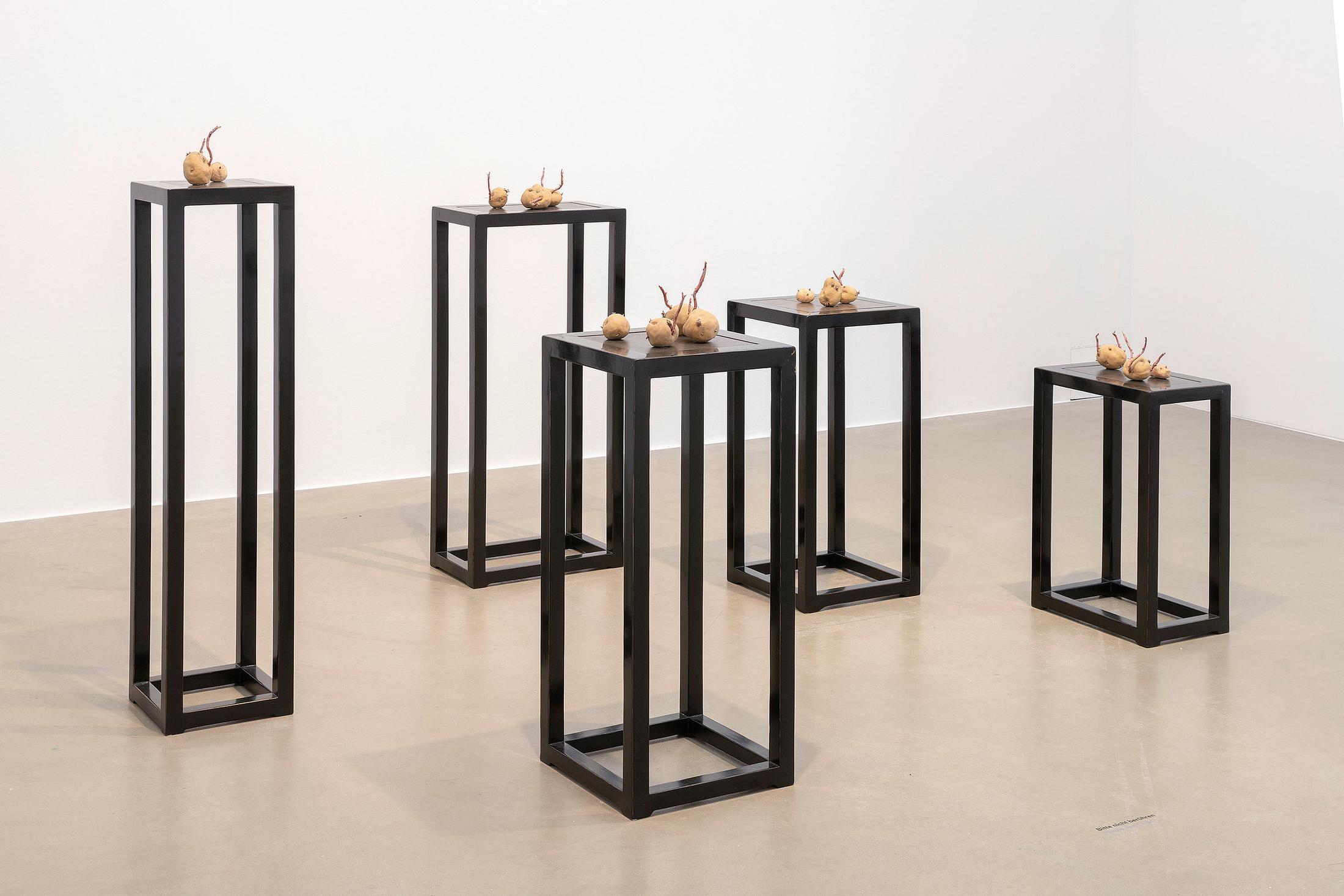 Exhibition View Su-Mei Tse «Nested» at Aargauer Kunsthaus, 2018 / Photo: René Roetheli / Courtesy: the artist and Aargauer Kunsthaus