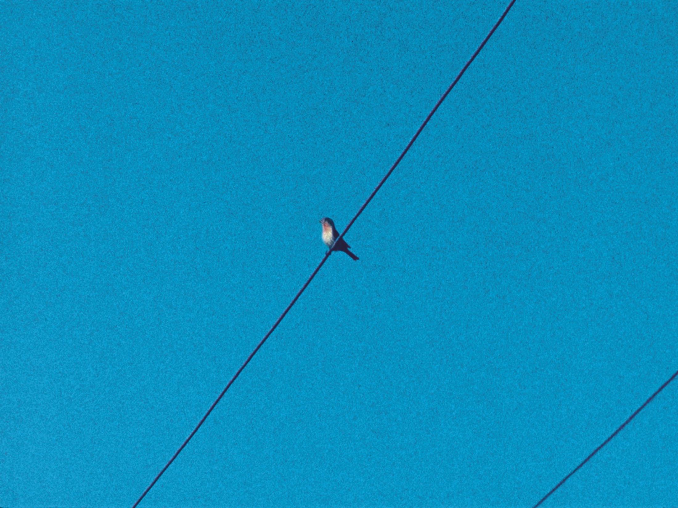 Exhibition View Tacita Dean Solo Show «Antigone; view on Tacita Dean, Ear on a Worm (Filmstill), 2017» at Kunstmuseum Basel, 2021-2022 / Courtesy: the artist, Frith Street Gallery, London and Marian Goodman Gallery, New York/Paris