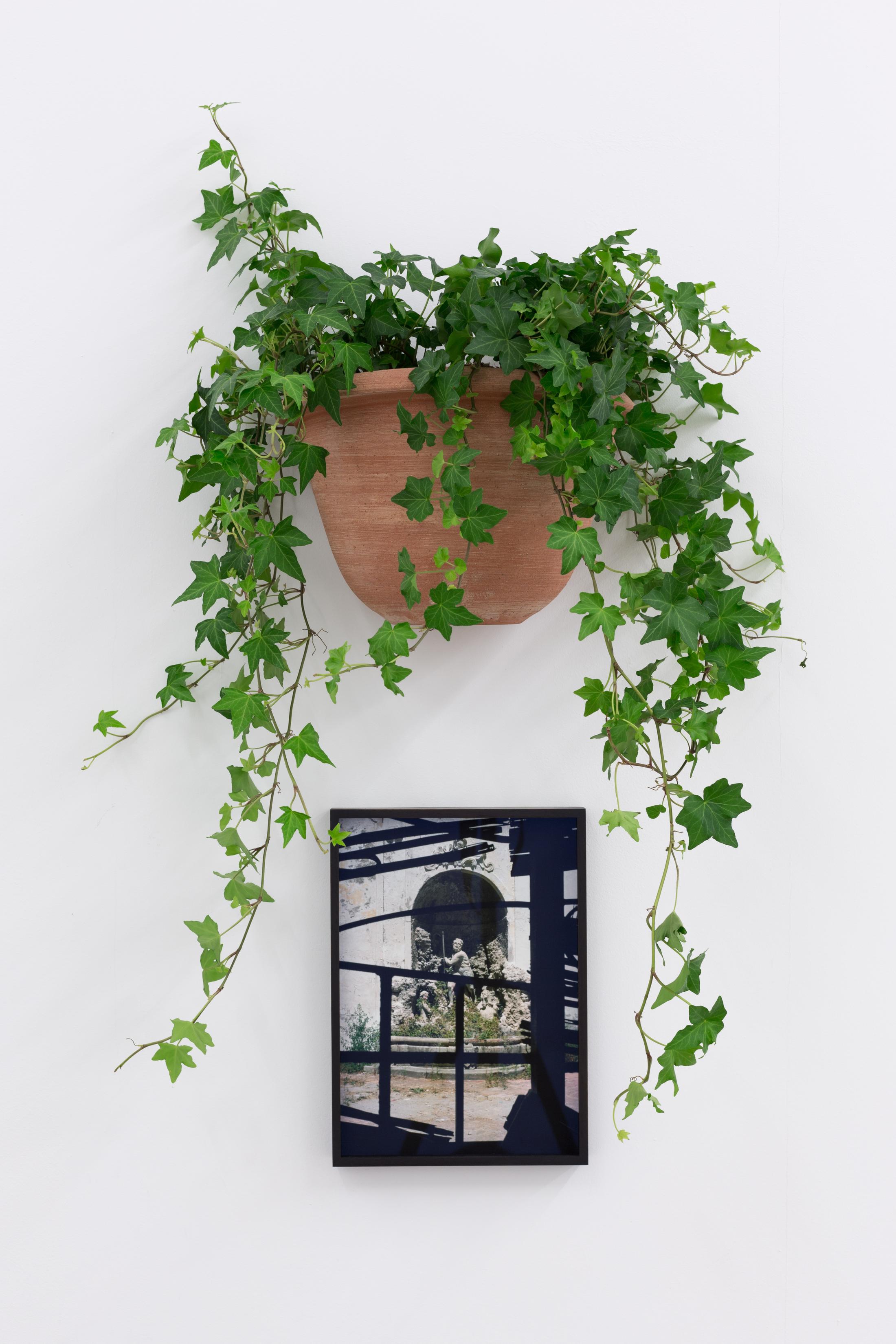 © Bolte Lang, Zürich / Courtesy: the artist