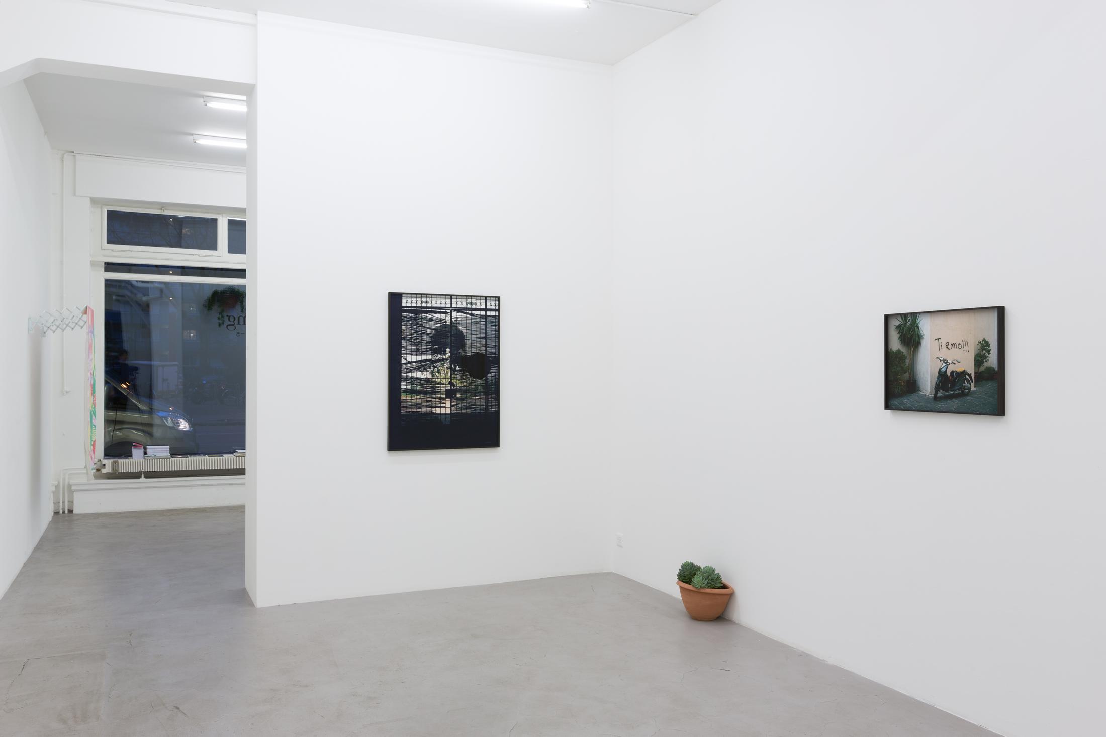 © Bolte Lang, Zürich / Courtesy: the artist