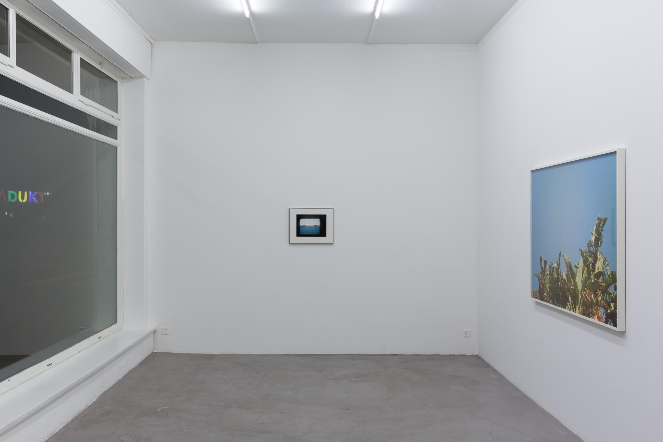 © Bolte Lang, Zürich / Courtesy: the artist