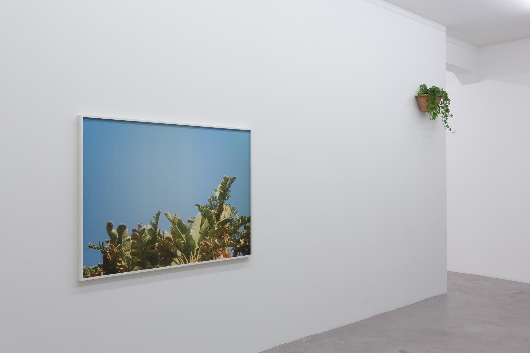 © Bolte Lang, Zürich / Courtesy: the artist