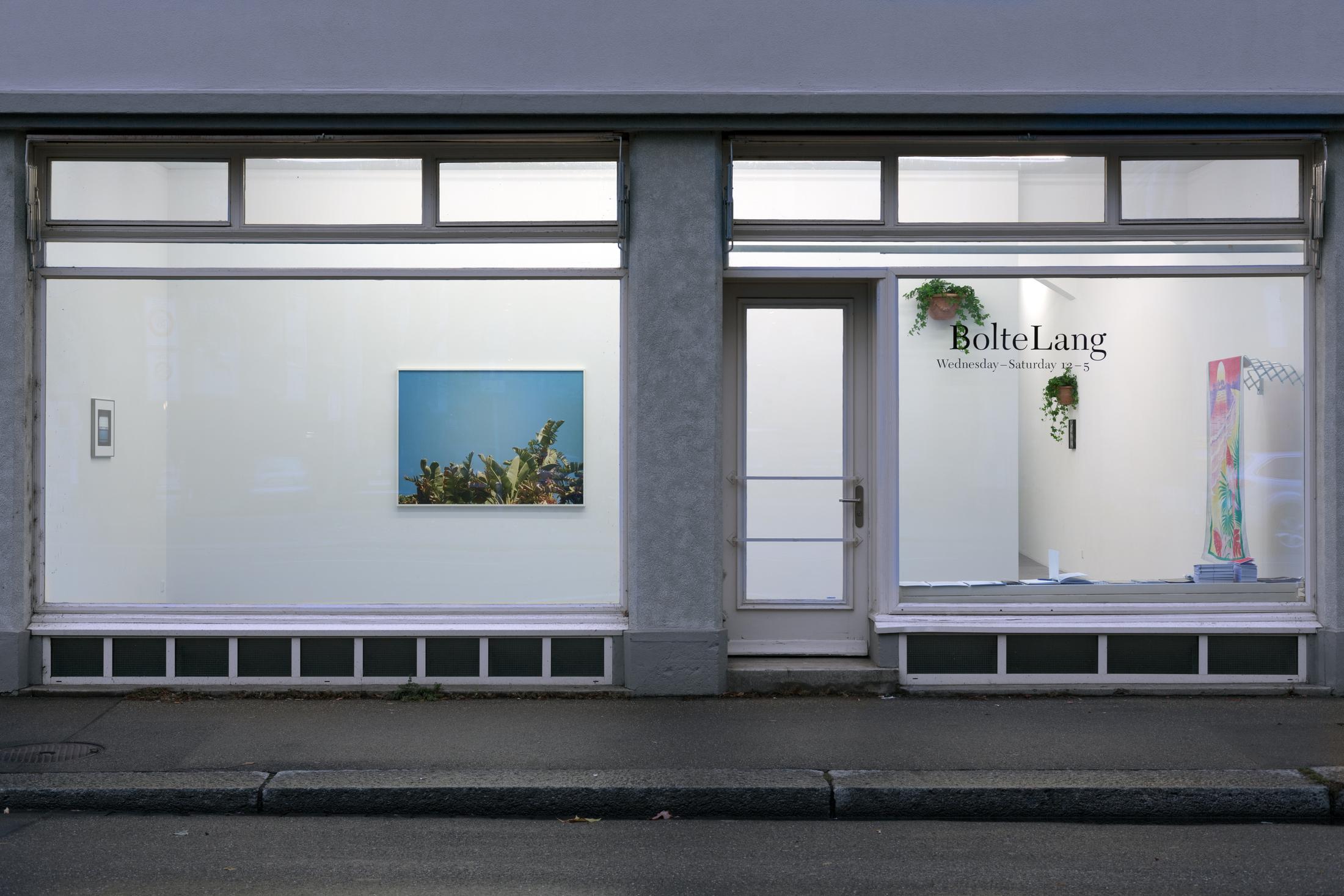 © Bolte Lang, Zürich / Courtesy: the artist