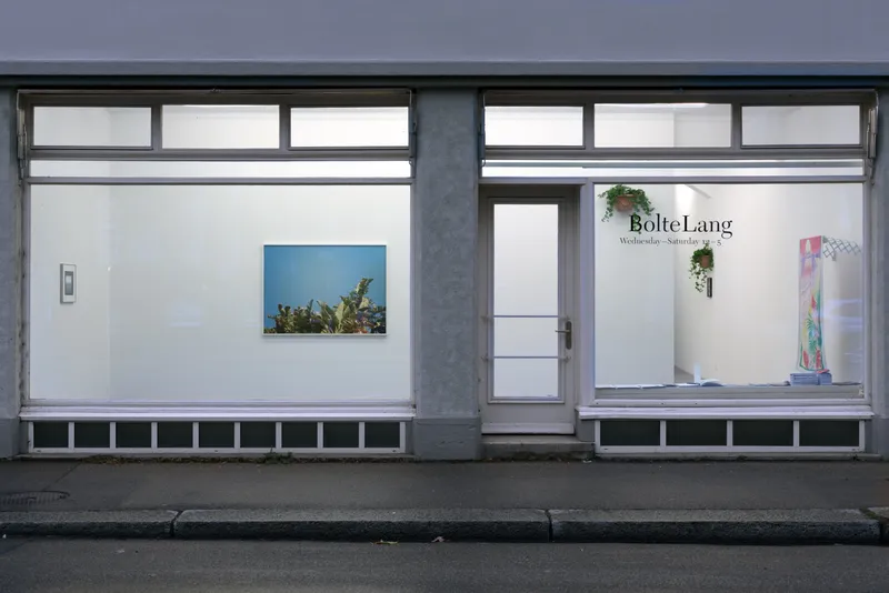 © Bolte Lang, Zürich / Courtesy: the artist