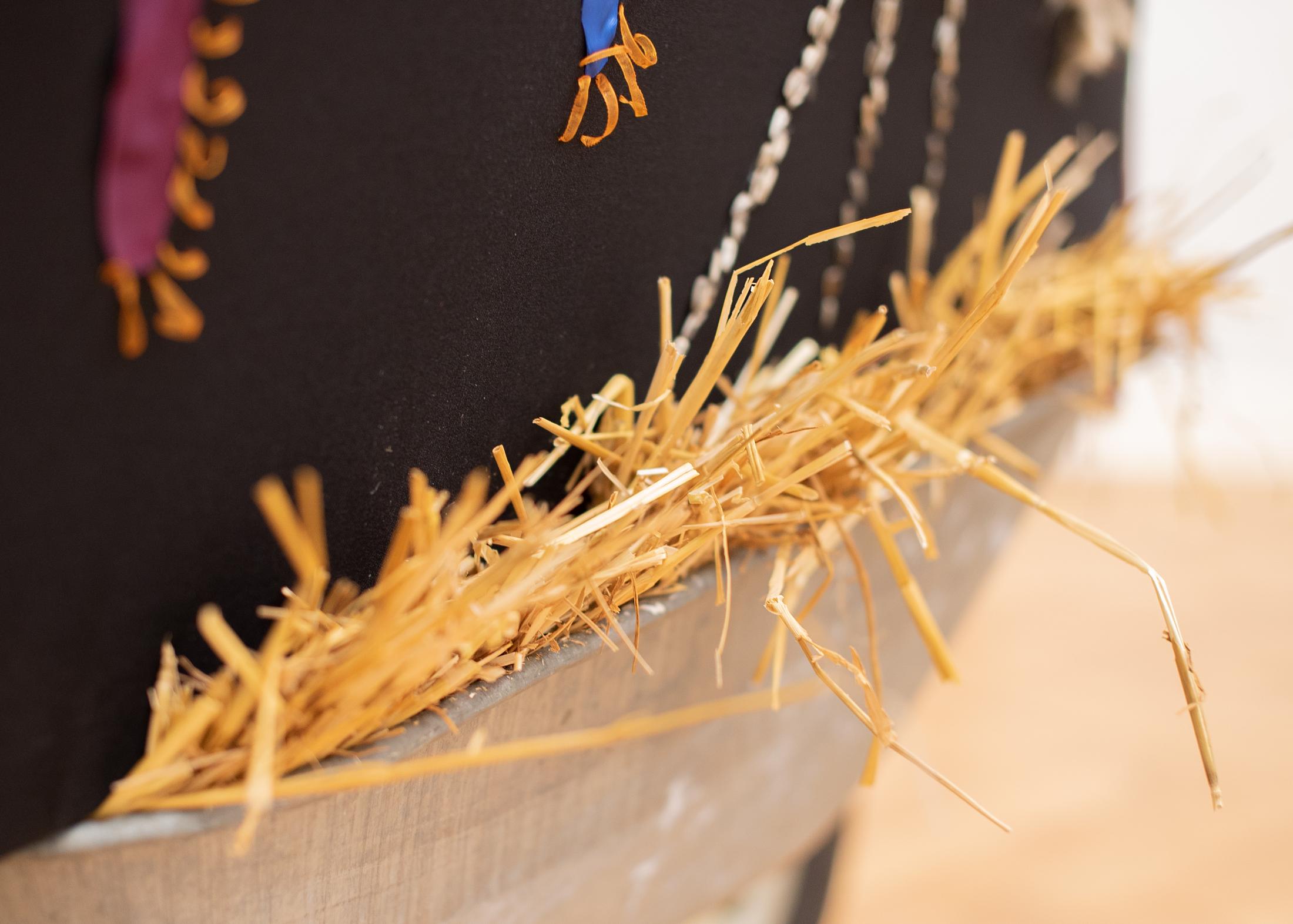 Exhibition View Group Show «TARANTULA; view on Beatrice Celli, Sorella Carovana, 2020, (detail)» at Sonnenstube, Lugano, 2020 / Courtesy: the artist and Sonnenstube