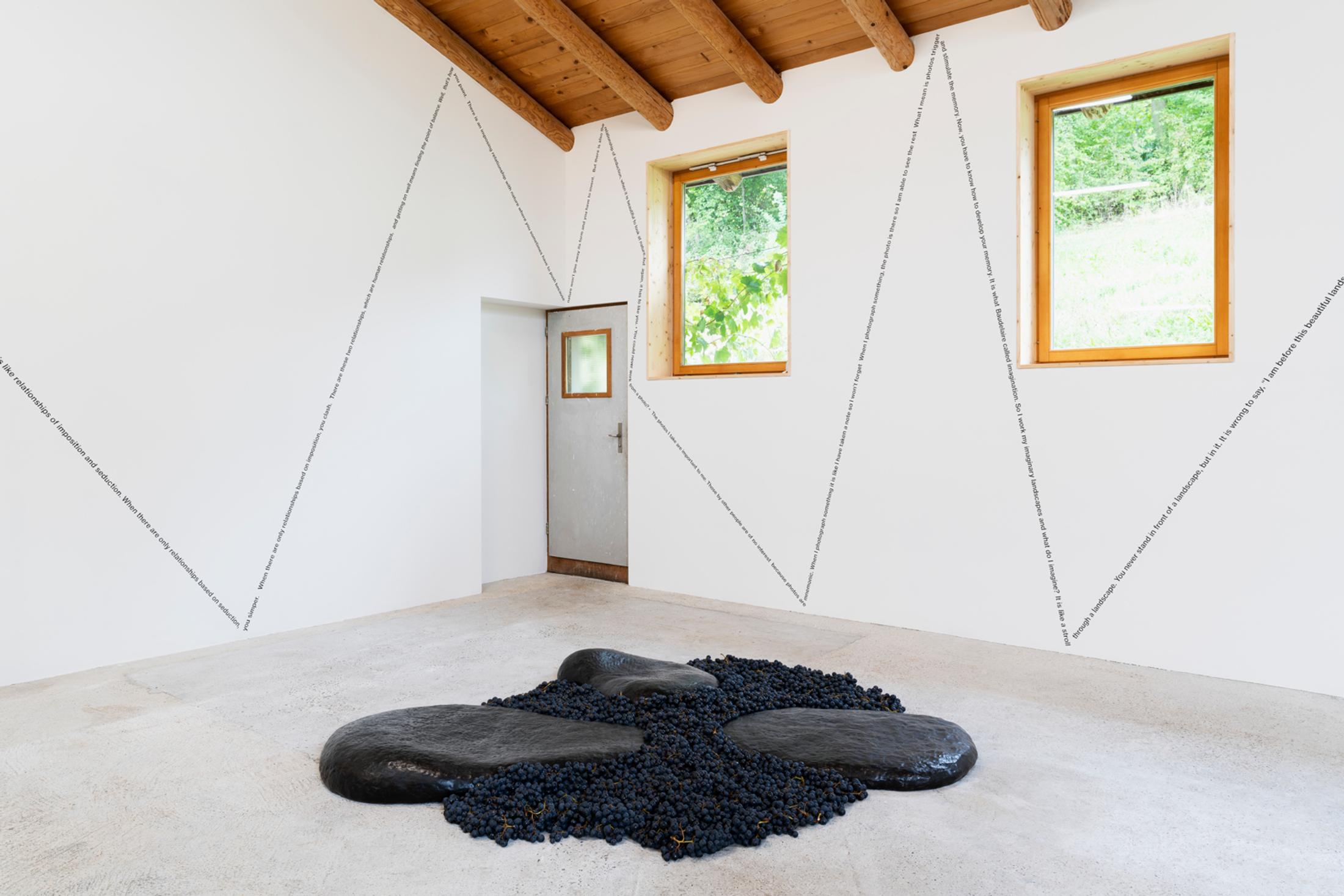 Exhibition View Group Show «This Morning, in the Sweet Torpor of the Great Forest, is Like Every Morning in the World; view on Solange Pessoa, Untitled, 2019, Bronze and grapes, 10 x 110 x 80 cm | 16 x 60 x 100 cm | 20 x 100 x 130 cm» at Country SALTS, Bennwil, 2020 / Photo: Gunnar Meier / Courtesy: the artist and Mendes Wood DM, Brüssels / Sao Paolo