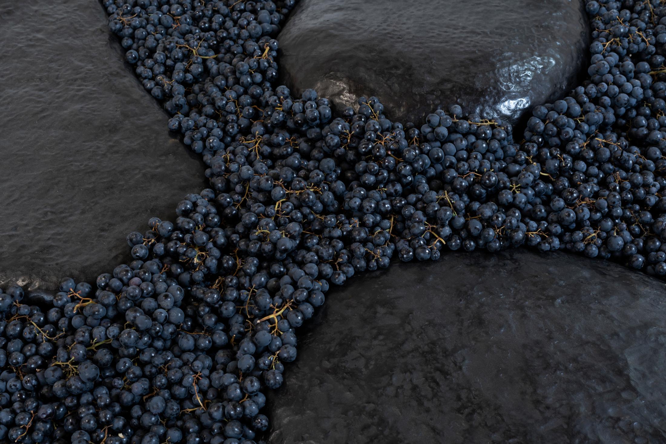 Exhibition View Group Show «This Morning, in the Sweet Torpor of the Great Forest, is Like Every Morning in the World; view on Solange Pessoa, Untitled, 2019, (detail), Bronze and grapes, 10 x 110 x 80 cm | 16 x 60 x 100 cm | 20 x 100 x 130 cm» at Country SALTS, Bennwil, 2020 / Photo: Gunnar Meier / Courtesy: the artist and Mendes Wood DM, Brüssels / Sao Paolo