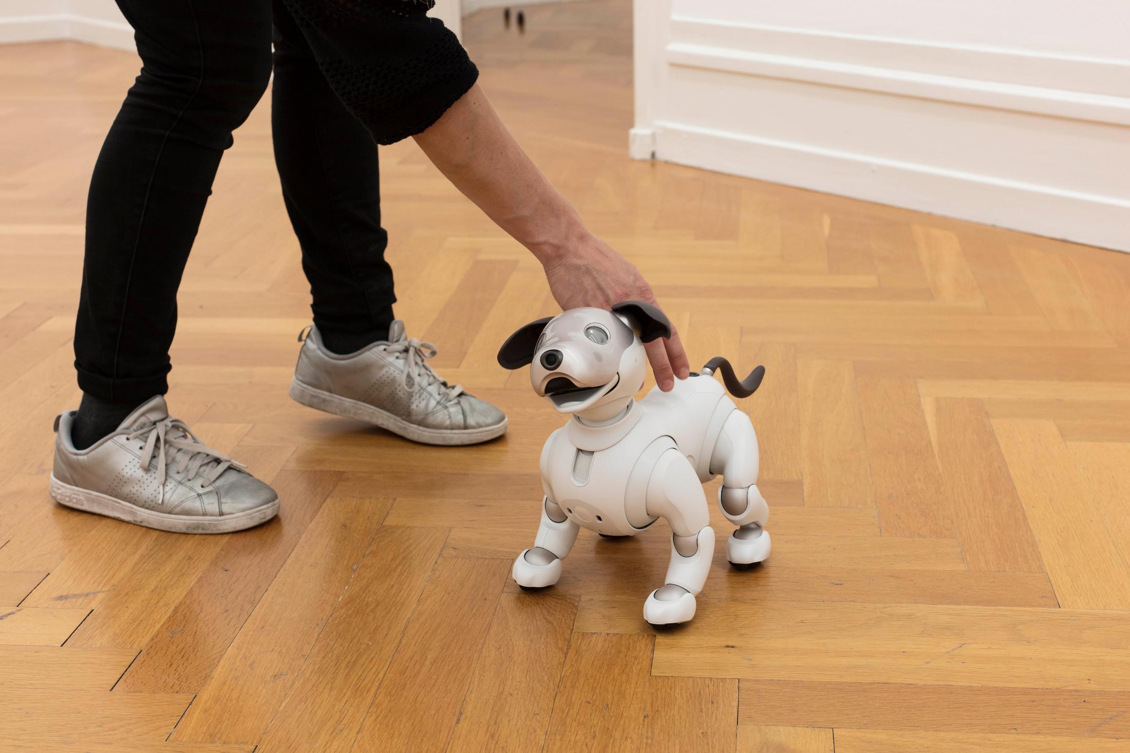 Exhibition View Tobias Kaspar «Independence / view on Aibo, 2018» at Kunsthalle Bern, 2018 / Photo: Gunnar Meier / Courtesy: the artist and Kunsthalle Bern