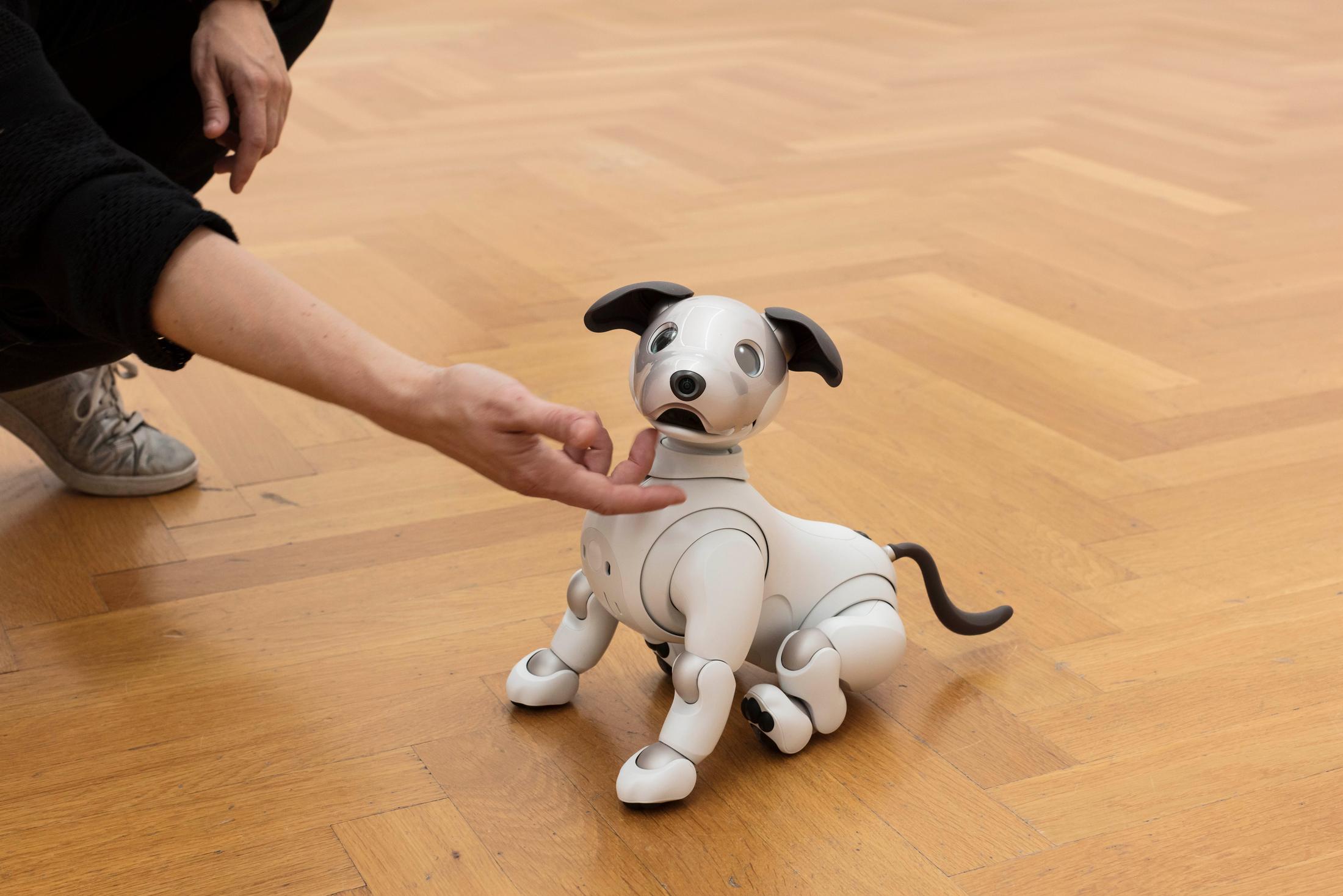 Exhibition View Tobias Kaspar «Independence / view on Aibo, 2018» at Kunsthalle Bern, 2018 / Photo: Gunnar Meier / Courtesy: the artist and Kunsthalle Bern