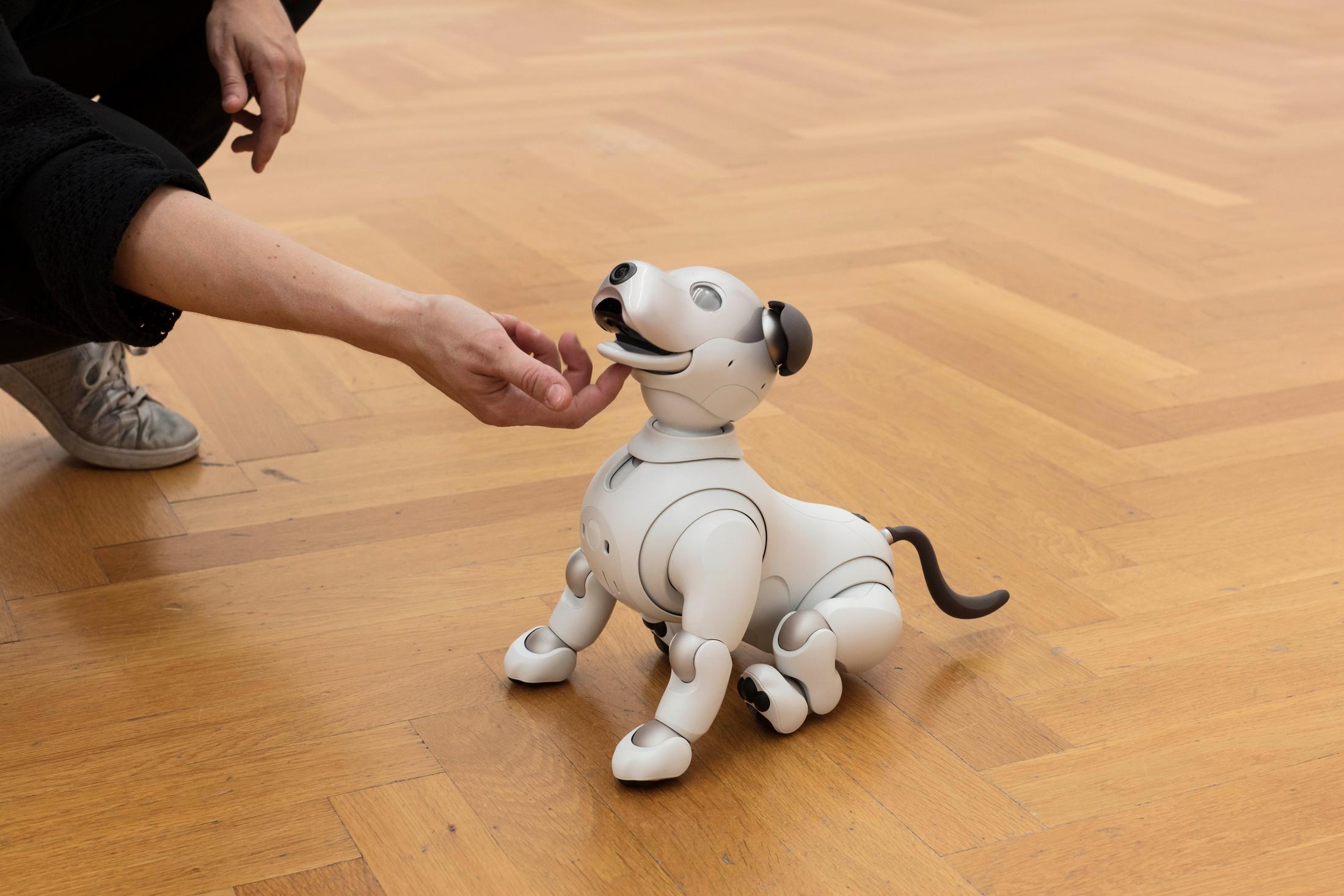 Exhibition View Tobias Kaspar «Independence / view on Aibo, 2018» at Kunsthalle Bern, 2018 / Photo: Gunnar Meier / Courtesy: the artist and Kunsthalle Bern