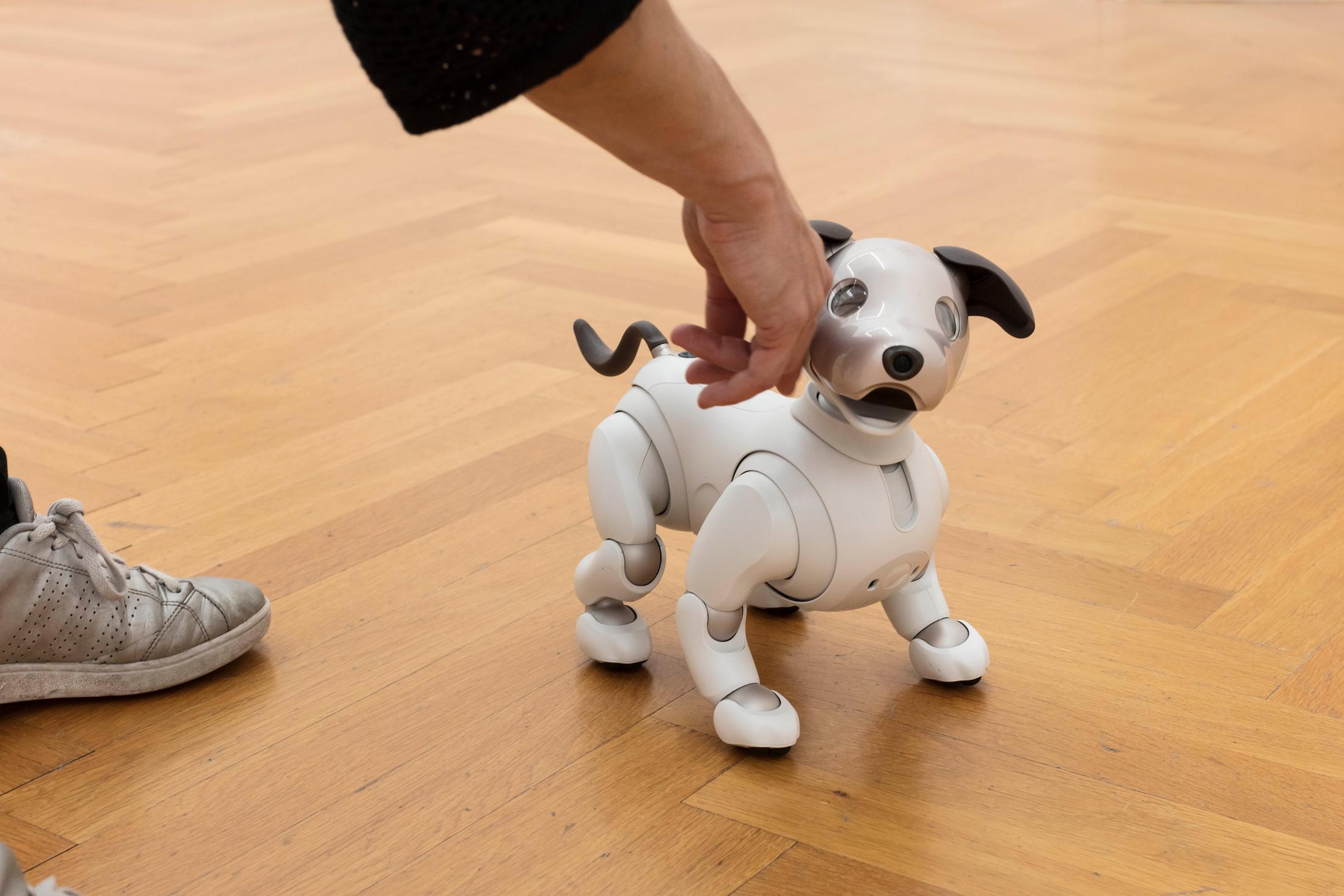 Exhibition View Tobias Kaspar «Independence / view on Aibo, 2018» at Kunsthalle Bern, 2018 / Photo: Gunnar Meier / Courtesy: the artist and Kunsthalle Bern