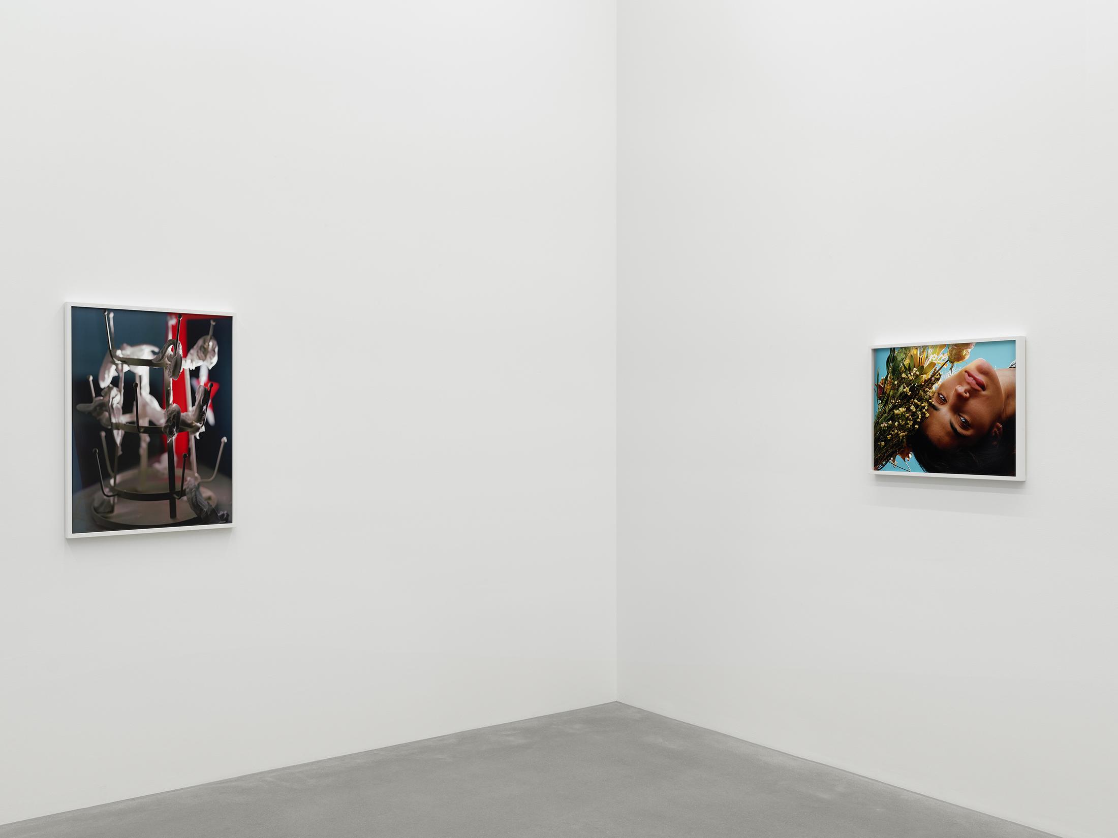 Exhibition View Torbjørn Rødland Solo Show «More Than Tongue Can Tell» at Galerie Eva Presenhuber, Waldmannstrasse, Zurich, 2021 / © Torbjørn Rødland / Photo: Stefan Altenburger / Courtesy: the artist and Galerie Eva Presenhuber