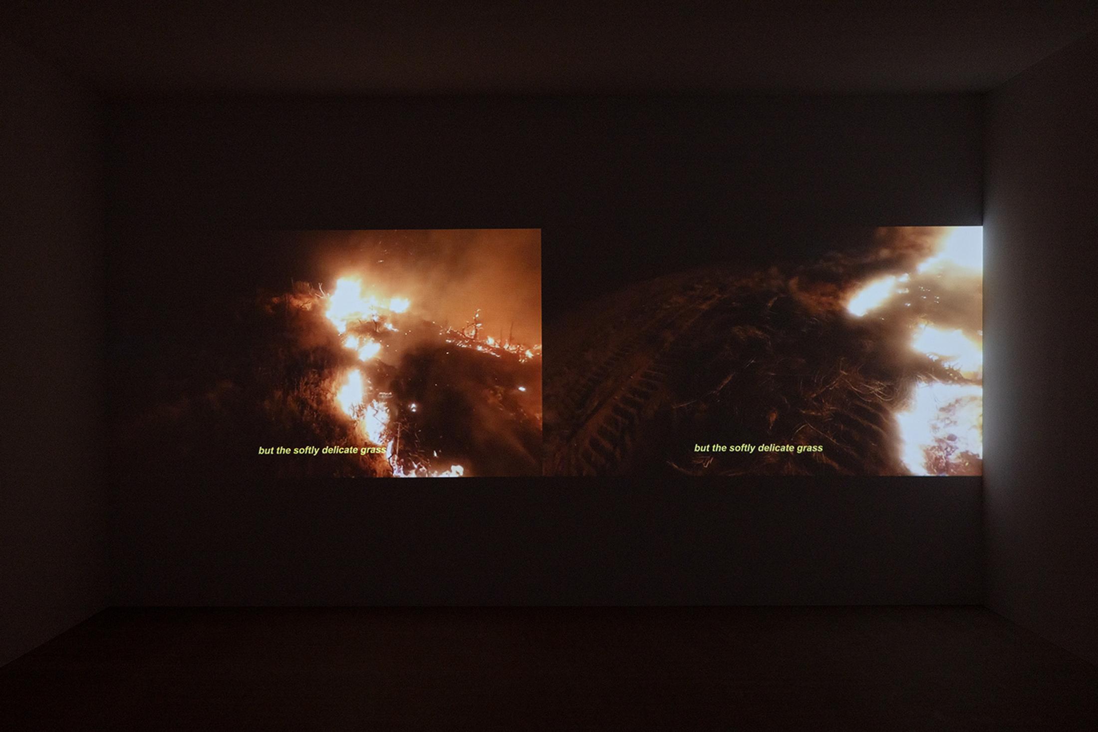 Exhibition View Group Show «Unbetrauerbar; view on Pauline Julier, Cercate Ortensia, 2021, two-channel HD-video, 16‘10‘‘» at For, Basel, 2022 / Photo: Gina Folly / Courtesy: the artist and For