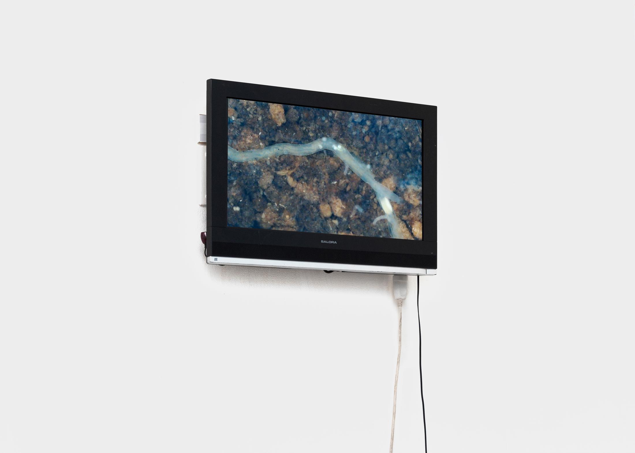 Exhibition View Groupshow «Une Histoire d'Amour; view on Lucas Herzig, Los cinqo minutos, 2019» at Sonnenstube, Lugano, 2020 / Photo: Théa Giglio / Courtesy: the artists, Sonnenstube and one gee in fog