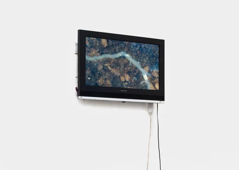 Exhibition View Groupshow «Une Histoire d'Amour; view on Lucas Herzig, Los cinqo minutos, 2019» at Sonnenstube, Lugano, 2020 / Photo: Théa Giglio / Courtesy: the artists, Sonnenstube and one gee in fog