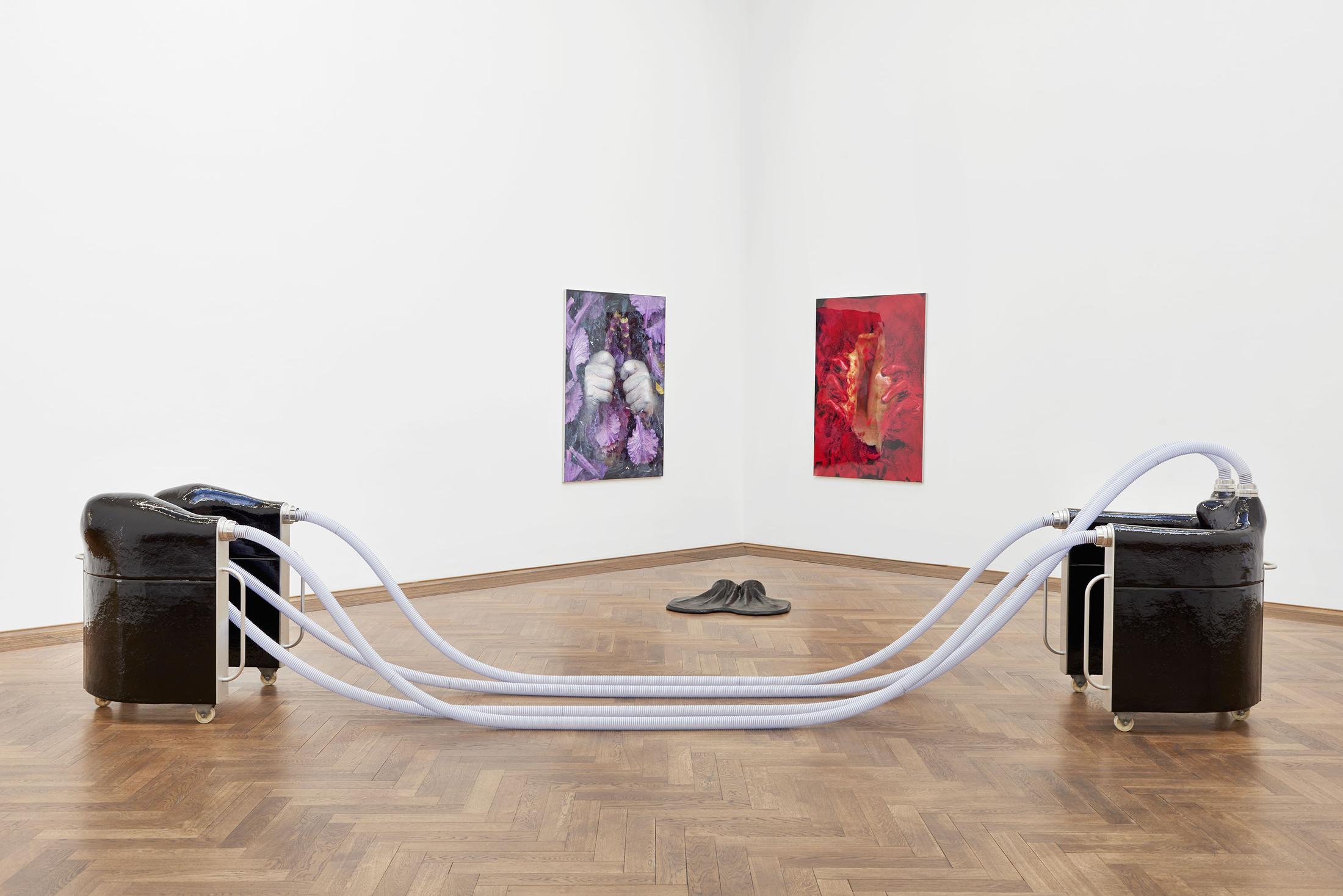 Installation view «Ungestalt», 2017 / © 2017 Kunsthalle Basel. Photo: Philipp Hänger/Kunsthalle Basel