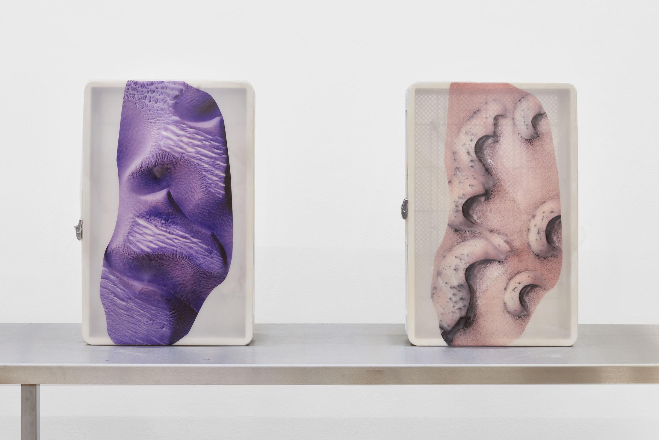 Installation view «Ungestalt», 2017. View on Pakui Hardware, Hesitant Hand, 2017 / © 2017 Kunsthalle Basel. Photo: Philipp Hänger/Kunsthalle Basel. Courtesy Pakui Hardware and Exile Gallery, Berlin