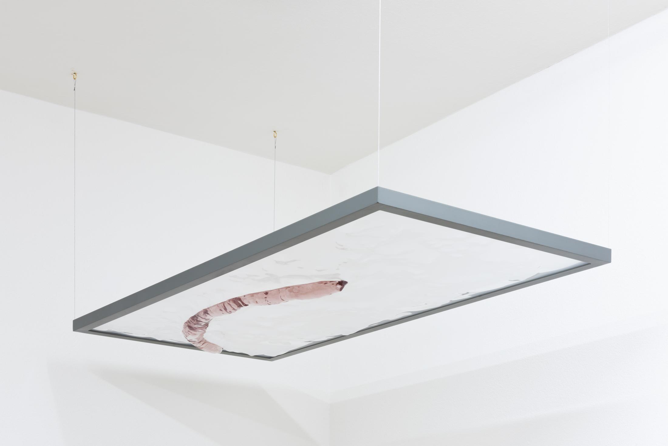 Exhibition View Duo Show «The most beautiful mistake in the world; view on Valentina Pini, Plump and warm, they slip out of hand, 2021» at Sonnenstube, Lugano, 2022 / Photo: Mattia Angelini / Courtesy: the artists and Sonnenstube