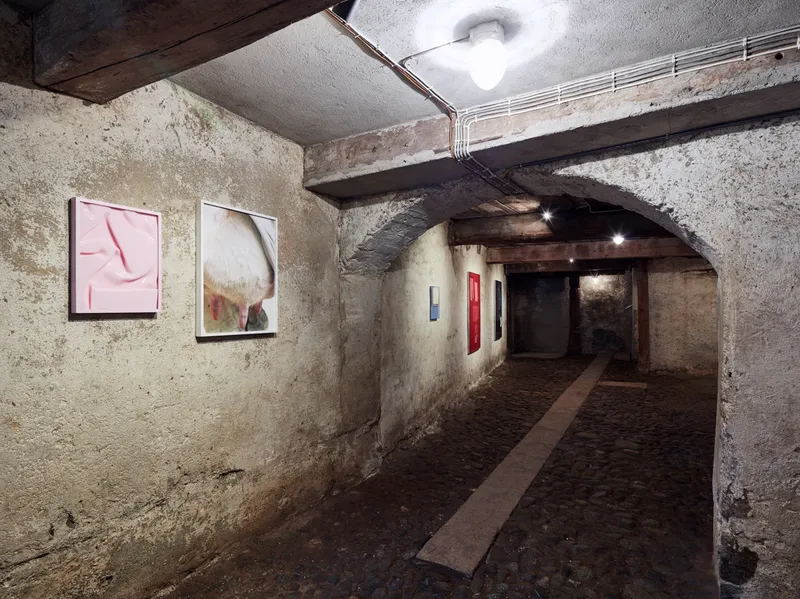 Exhibition View Vanessa Safavi Soloshow «Milch» at Stalletta Madulain by Windhager von Kaenel / Photo: Philippe Hubler / Courtesy: the artist