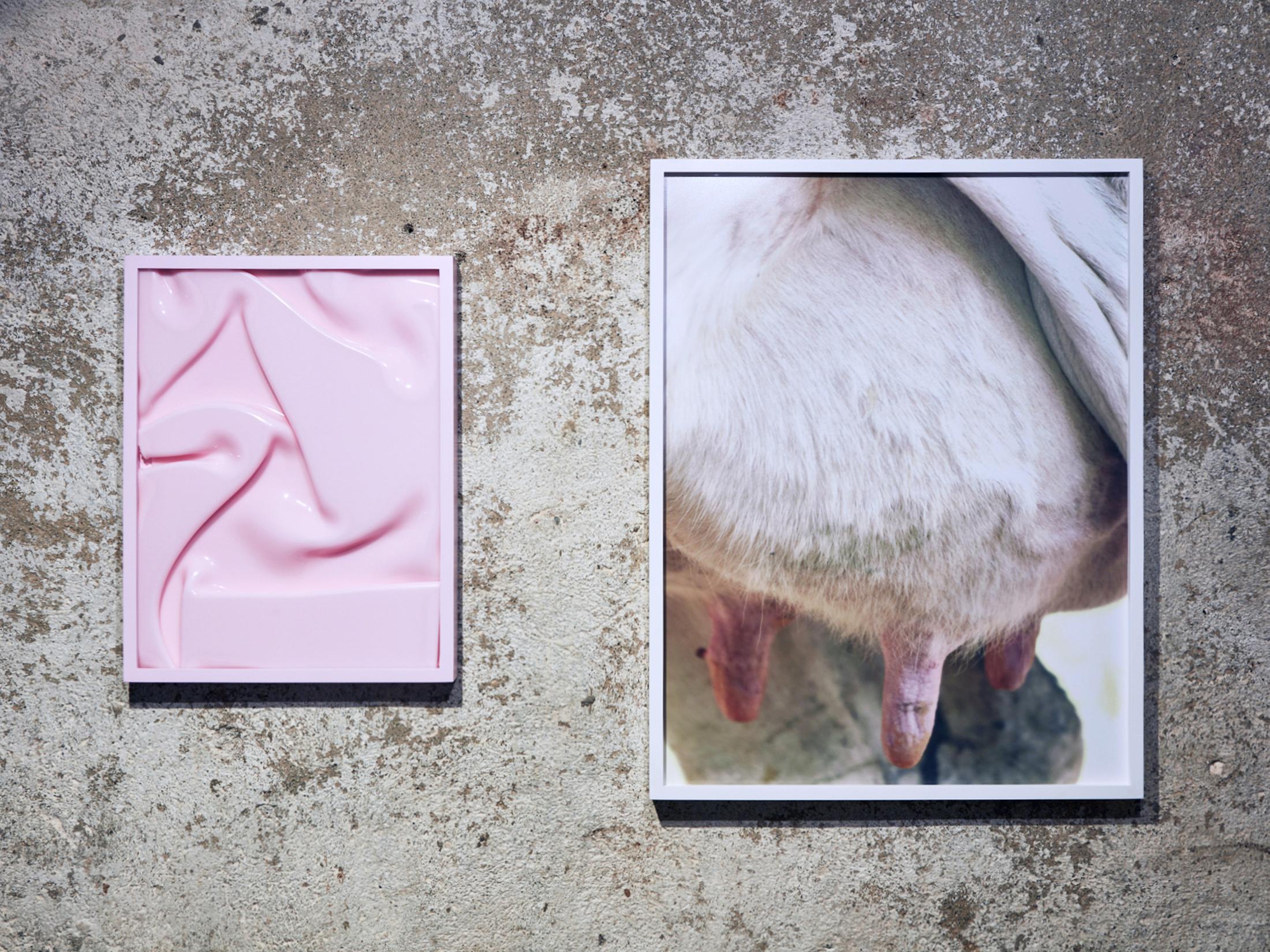 Exhibition View Vanessa Safavi Soloshow «Milch; view on Untitled, 2019» at Stalletta Madulain by Windhager von Kaenel / Photo: Philippe Hubler / Courtesy: the artist