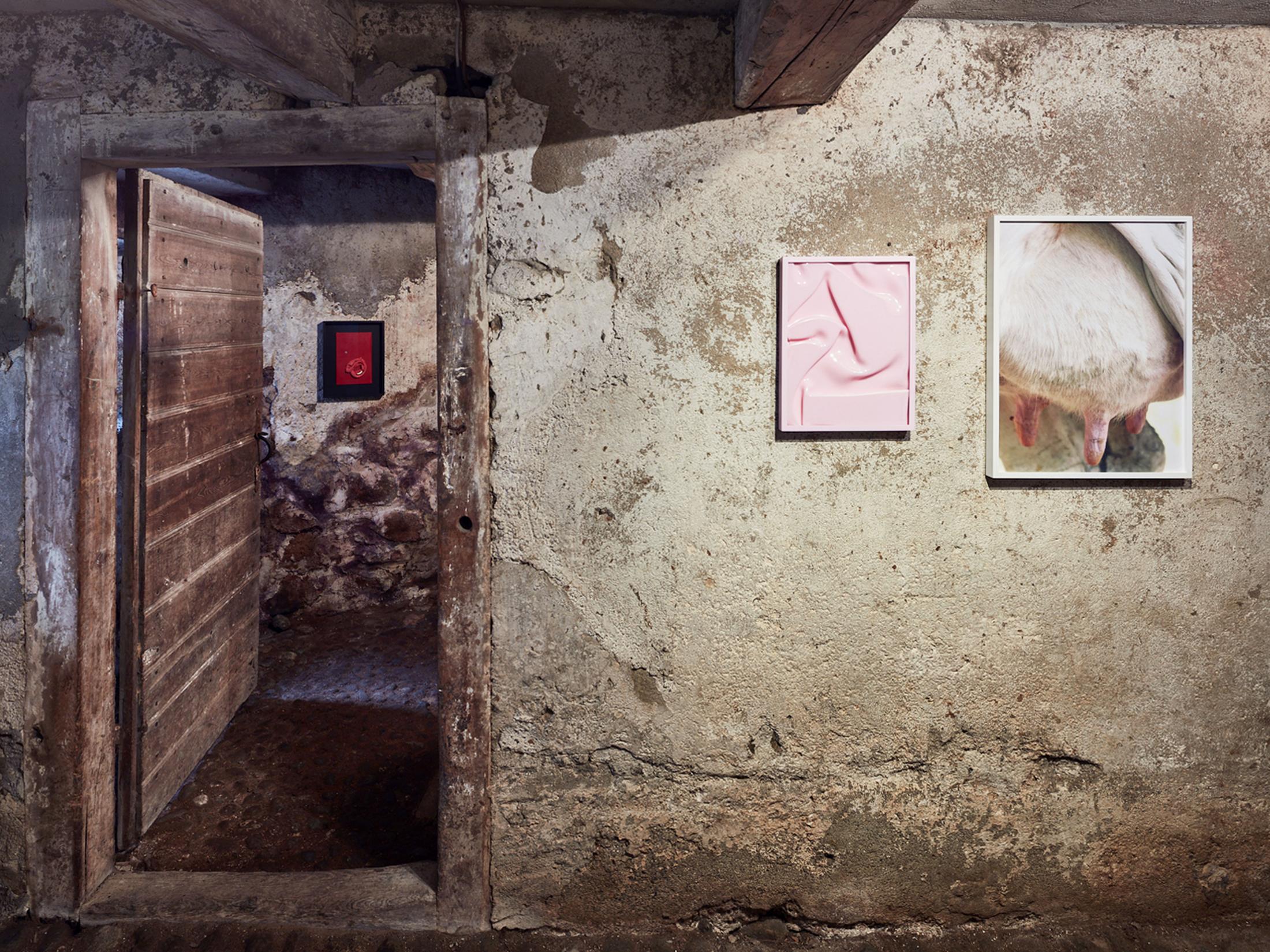 Vanessa Safavi at Stalletta Madulain, Soloshow «Milch» at Stalletta Madulain by Windhager von Kaenel, July 27 until August 24, 2019 – Contemporary Art Switzerland • Swiss Art Exhibition Archive