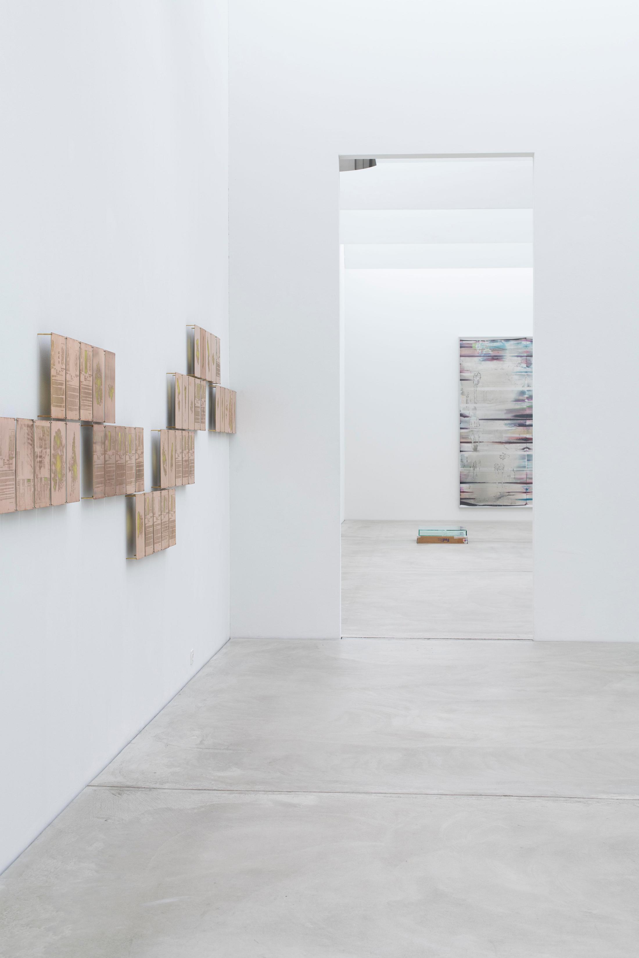 Exhibition View Walead Beshty Soloshow «Standard Deviations» at Kunst Museum Winterthur, Winterthur, 2020 / Photo: Reto Kaufmann / Courtesy: the artist and Kunst Museum Winterthur