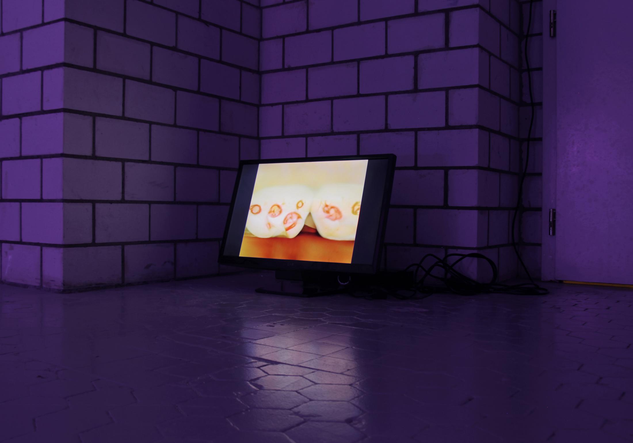 Exhibition View Group Show «What does Anything mean? Basically; view on Sick Llama / Evil Moisture, The Brain Leeches pt. 3, 2019» at Sgomento, Zurich, 2022 / Photo: SZ / Courtesy: the artists and Sgomento