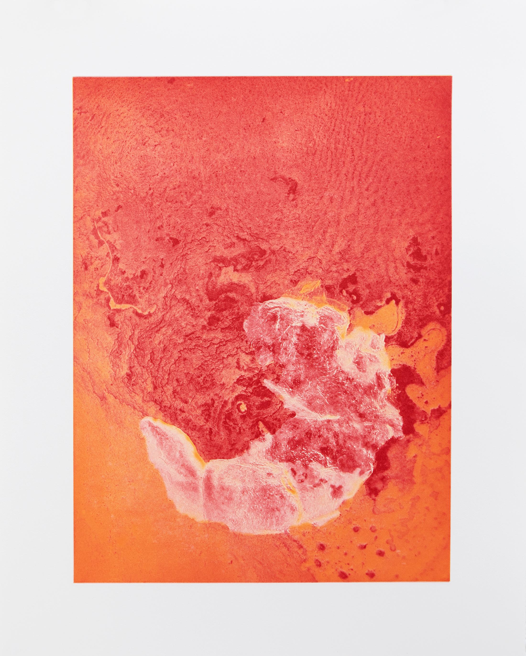 Exhibition View Groupshow «When color becomes form; view on Vanessa BIlly, Memoire Cellulaire (sanguine), 2019/20, Heliogravure, Edition of 20» at VFO, Zurich, 2020 / Photo: Bernhard Strauss / Courtesy: the artists and VFO