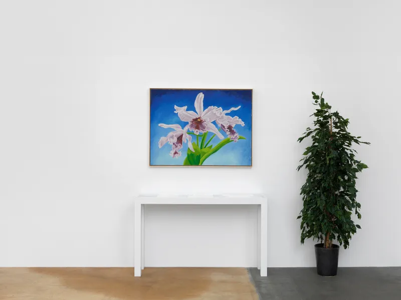 © 2017, MAMCO Geneva. Photo: Annik Wetter / Courtesy: the artist