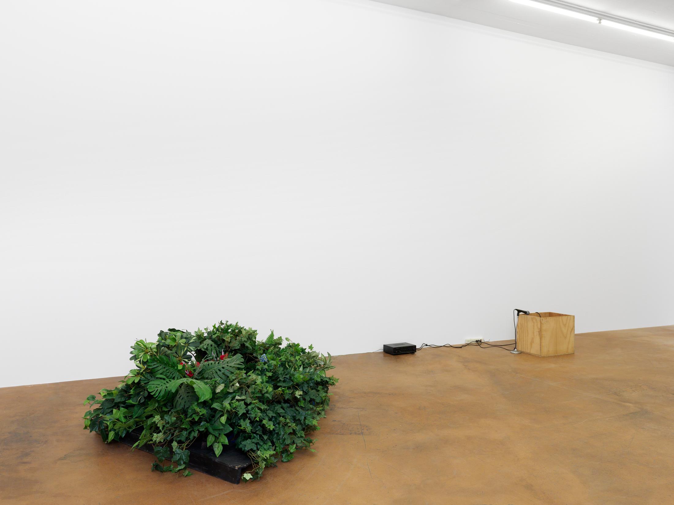 © 2017, MAMCO Geneva. Photo: Annik Wetter / Courtesy: the artist