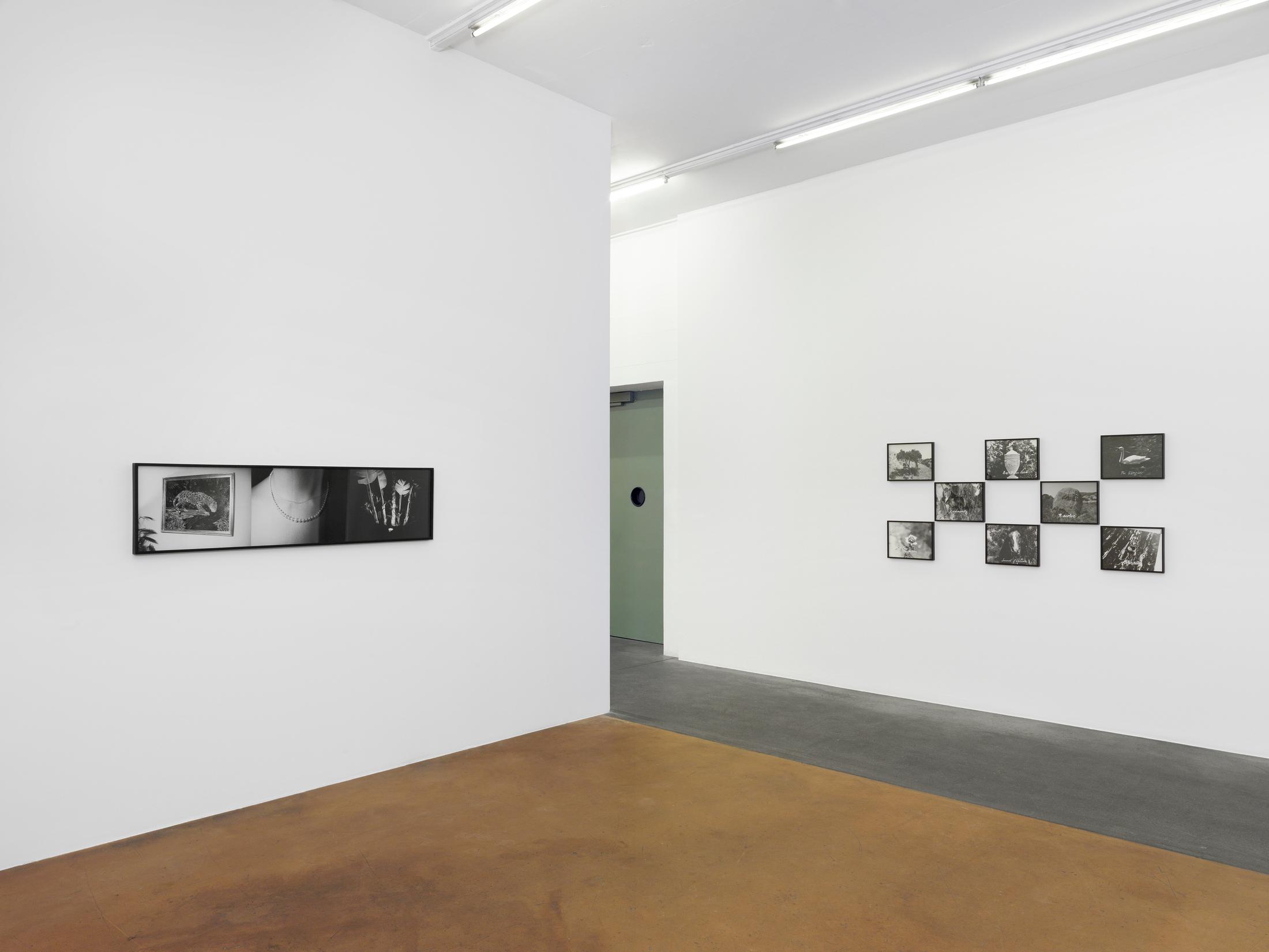 © 2017, MAMCO Geneva. Photo: Annik Wetter / Courtesy: the artist