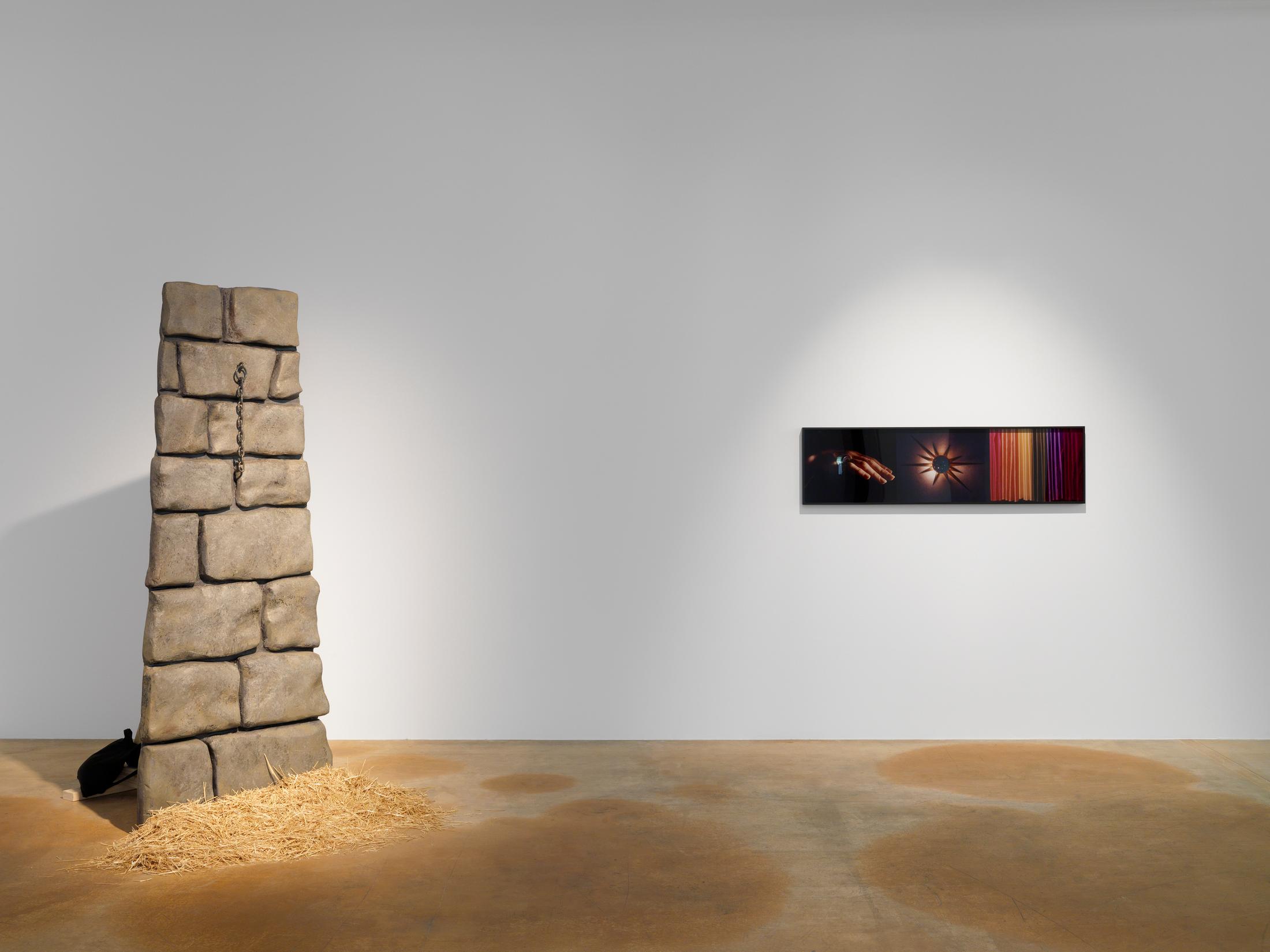 © 2017, MAMCO Geneva. Photo: Annik Wetter / Courtesy: the artist